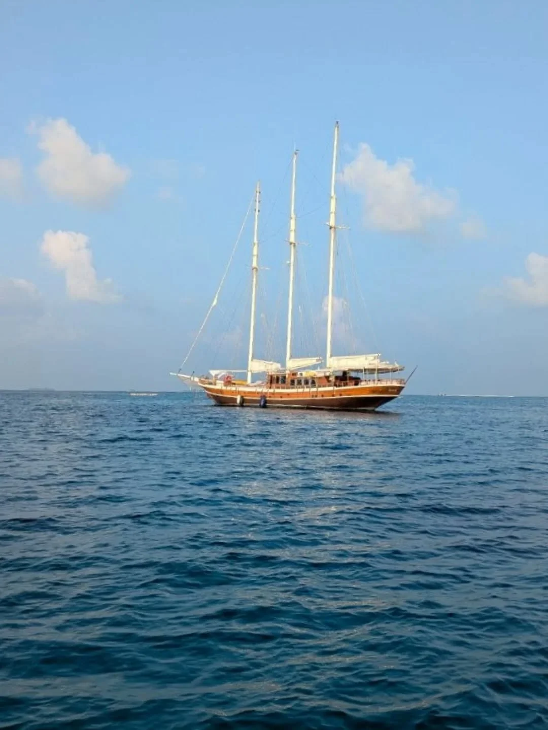 Dolphins racing the bow, salt in the air, a well earned lunch on deck and a vibrant surgeon fish lighting up the reef. Perfection !👌

#pearl111 #liveaboard #yachtcharter #cruises #charteryacht #charter #grouptravel #boattrip #snorkelingtrip #traveli
