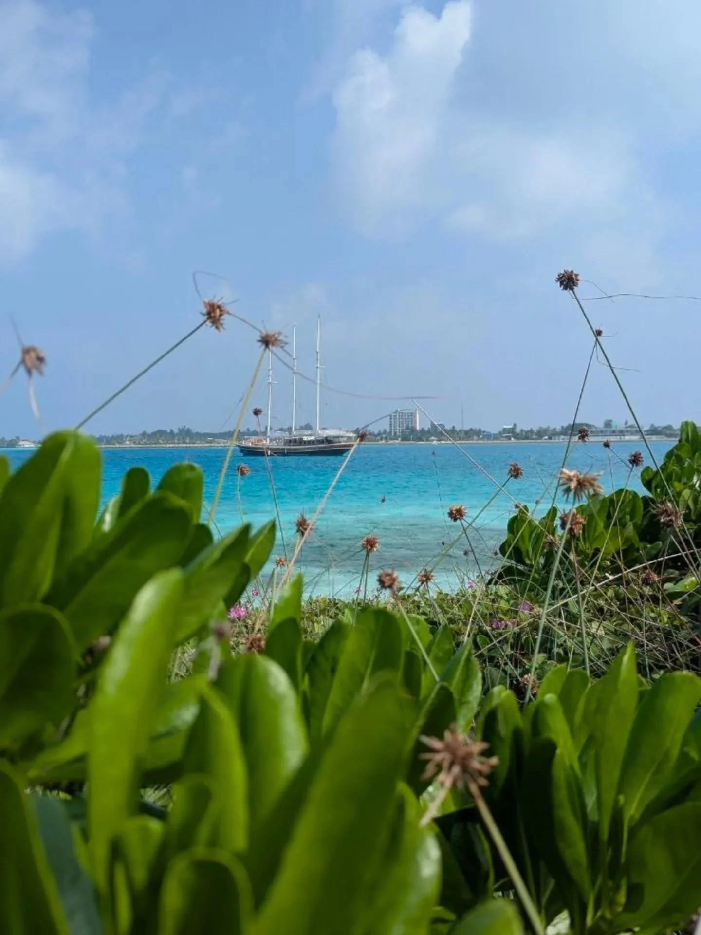Discover the Maldives on-board our 3 masted wooden schooner Pearl 111 for a unique experience ⚓