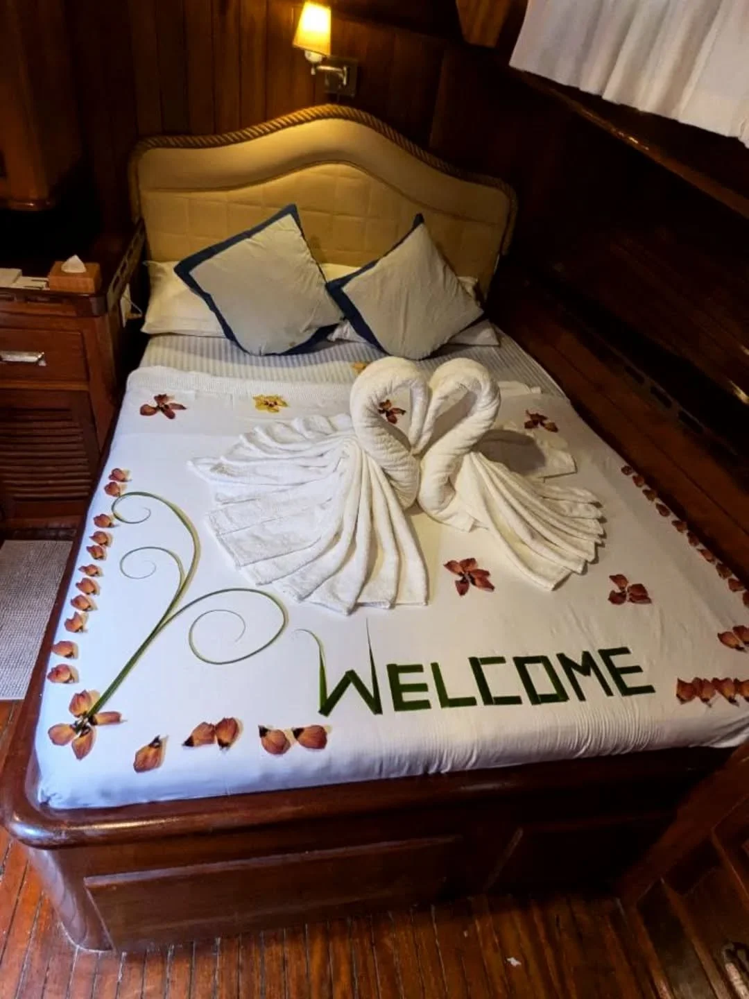 Spend your next holiday exploring the Maldives on-board Pearl 111 ⚓

#pearl111 #liveaboard #charter #maldivesislands #cruises