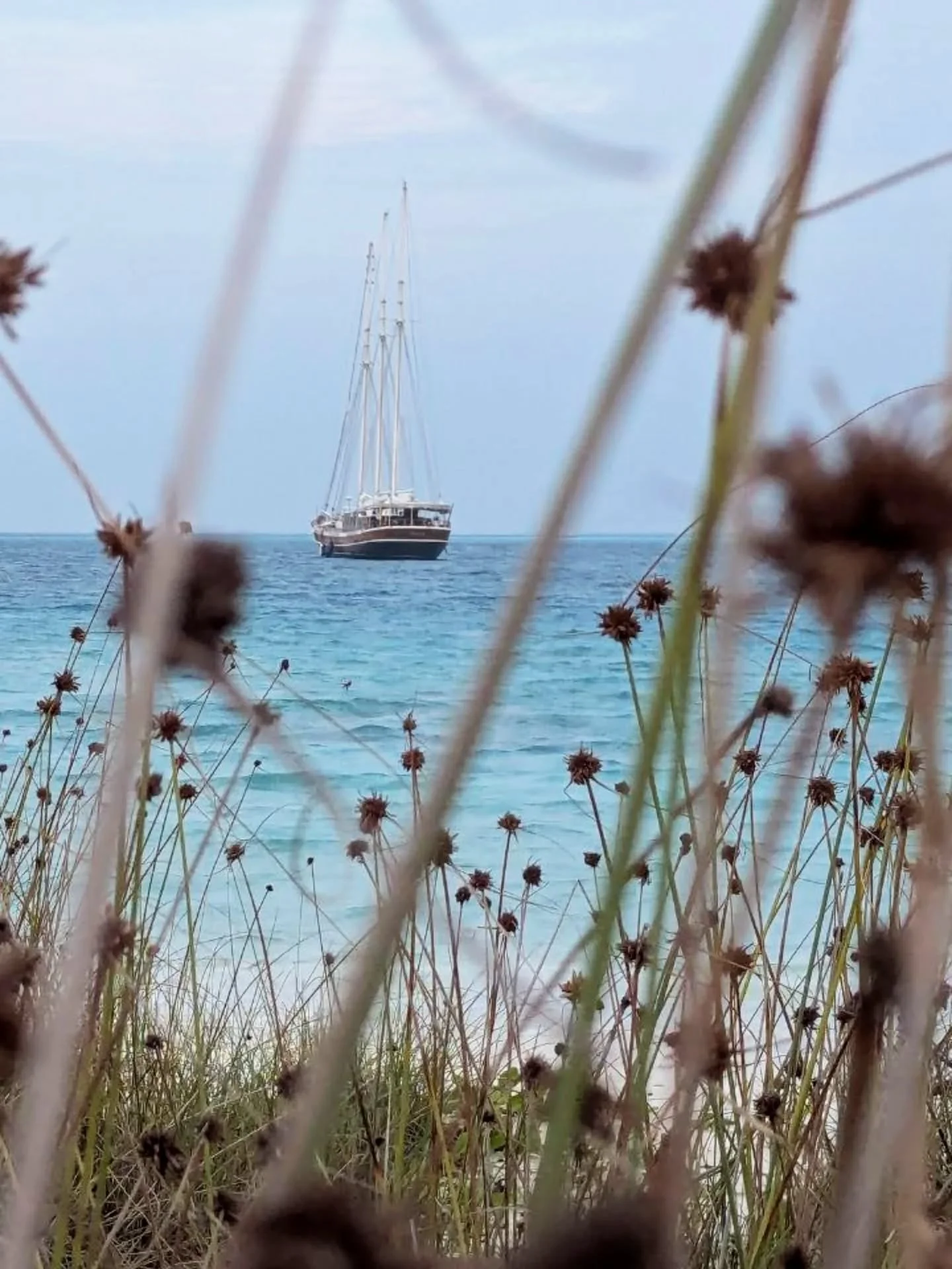 Maldives is always a good idea 💙 
We can't wait to welcome you on-board Pearl 111

#pearl111 #liveaboard #maldivestrip #yachtcharter #visitmaldives