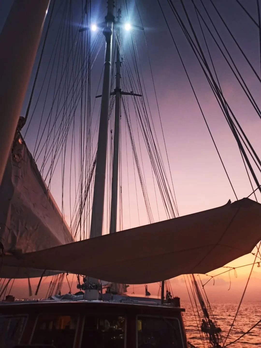 Sunsets that slow you down
Dolphins that show up when you least expect it
And a world beneath the surface waiting quietly

This is life on-board Pearl 111 ⚓ 
Would you dive in ?

#pearl111 #slowtravel #liveaboard #dolphins #luxurytravel