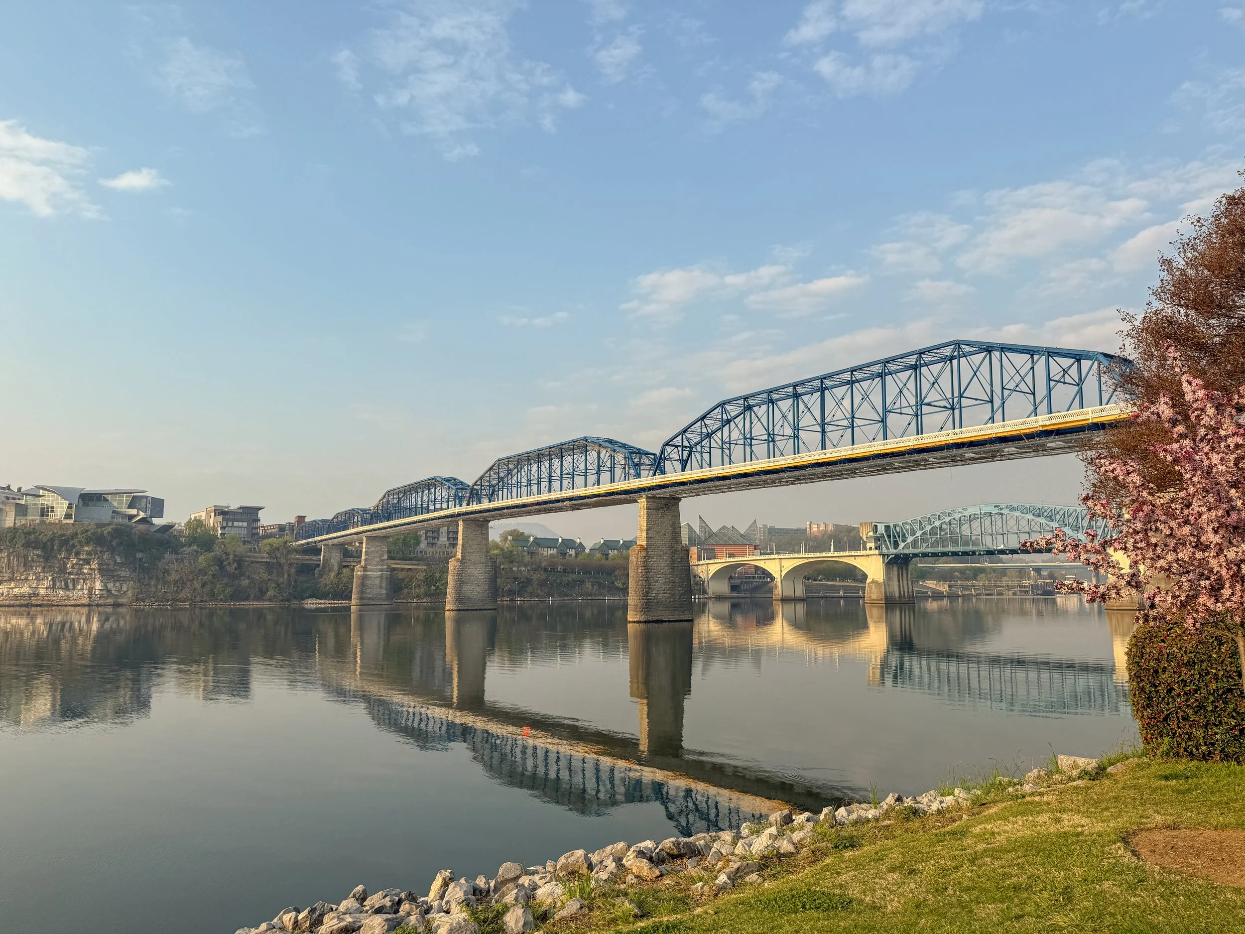A river with a calm surface reflecting a bridge with blue metal trusses and multiple spans. The sky is partly cloudy with soft sunlight. On the right, there's a blooming tree with pink flowers and green shrubbery along the riverbank.