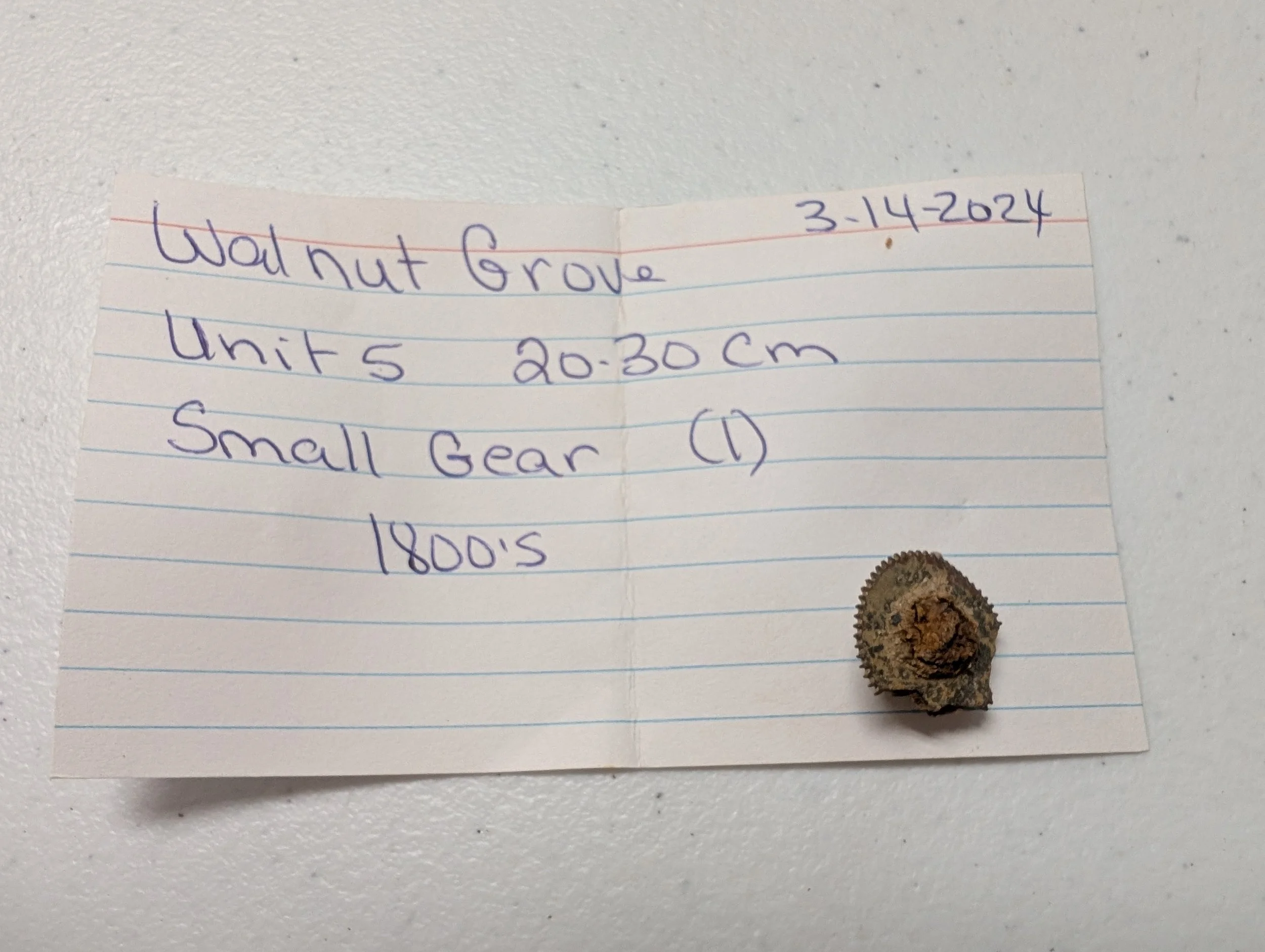 Small Gear.jpg