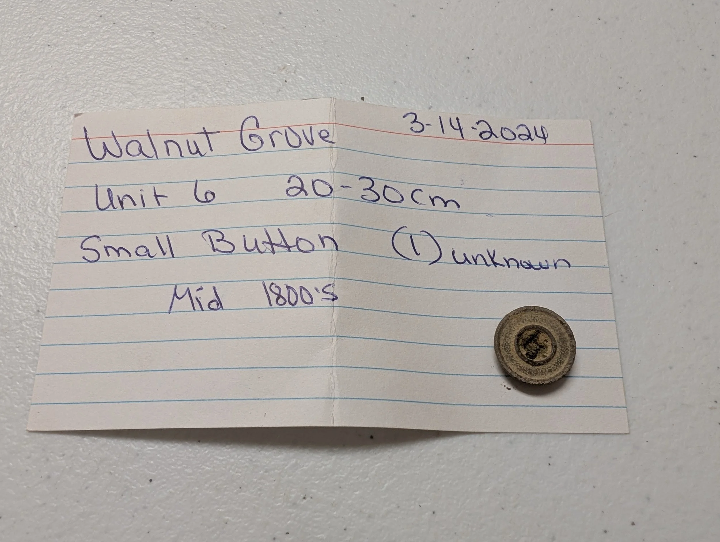 Small Button.jpg