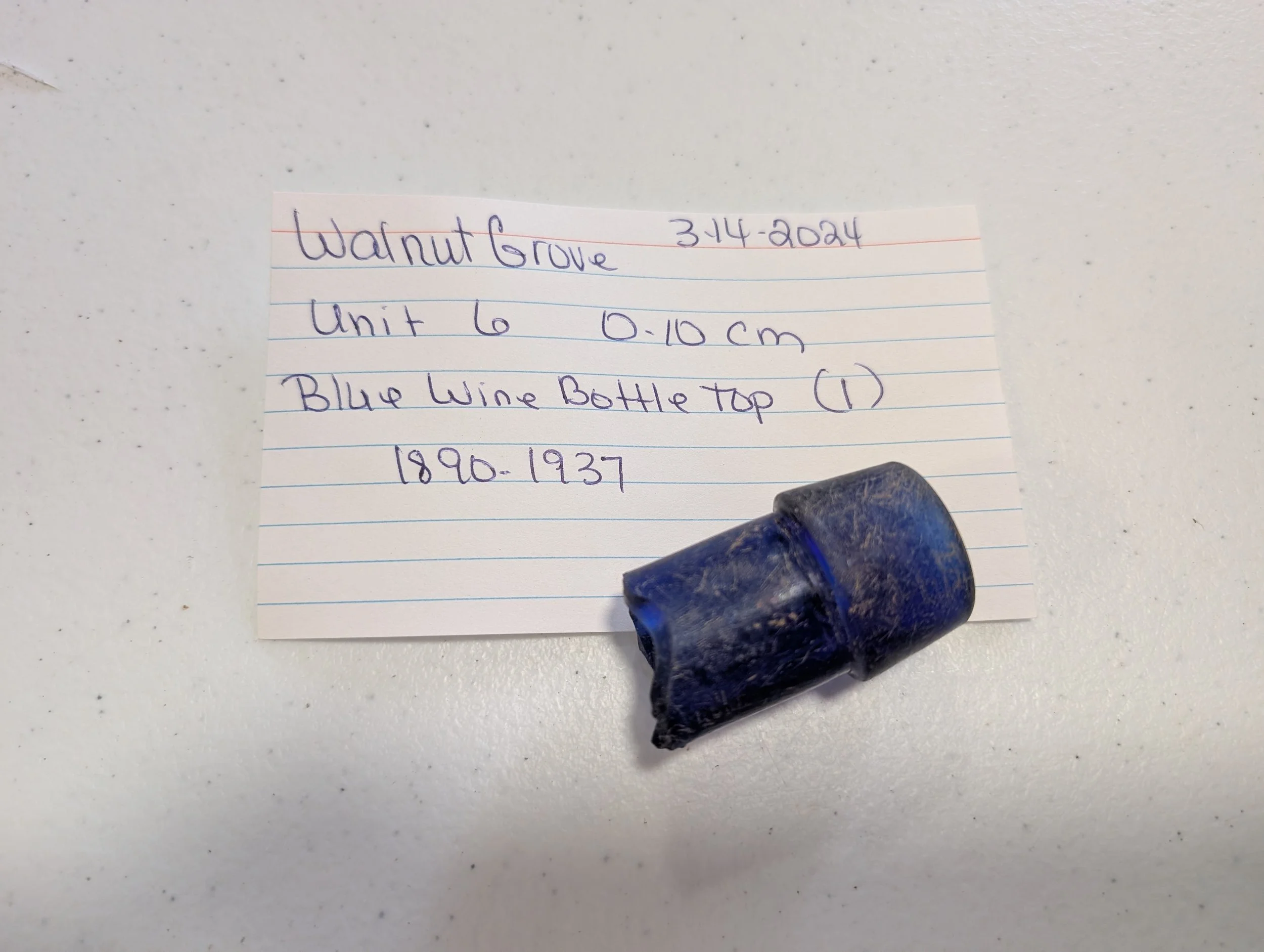 Blue Wine Bottle Top.jpg
