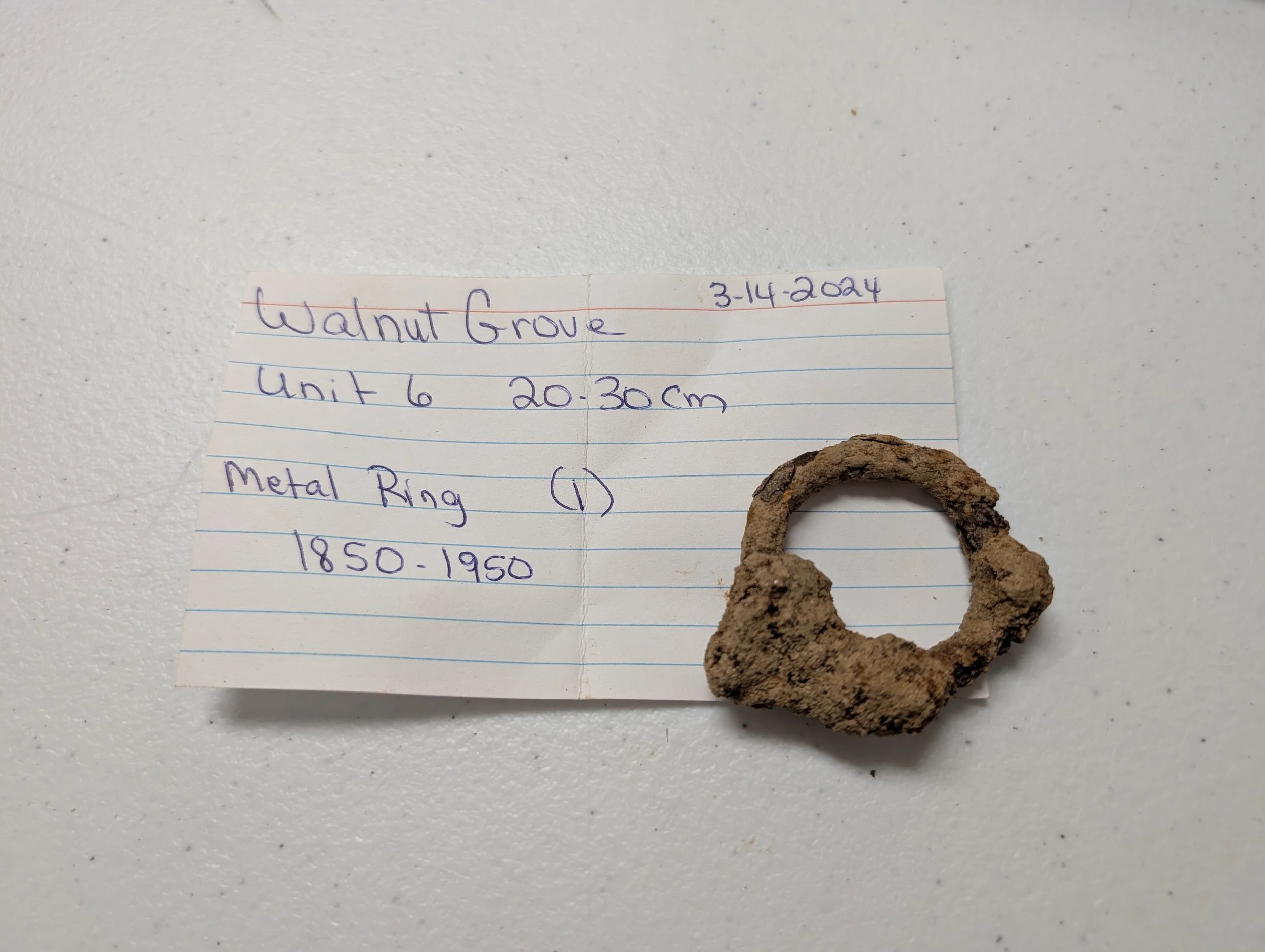 Metal Ring.jpg