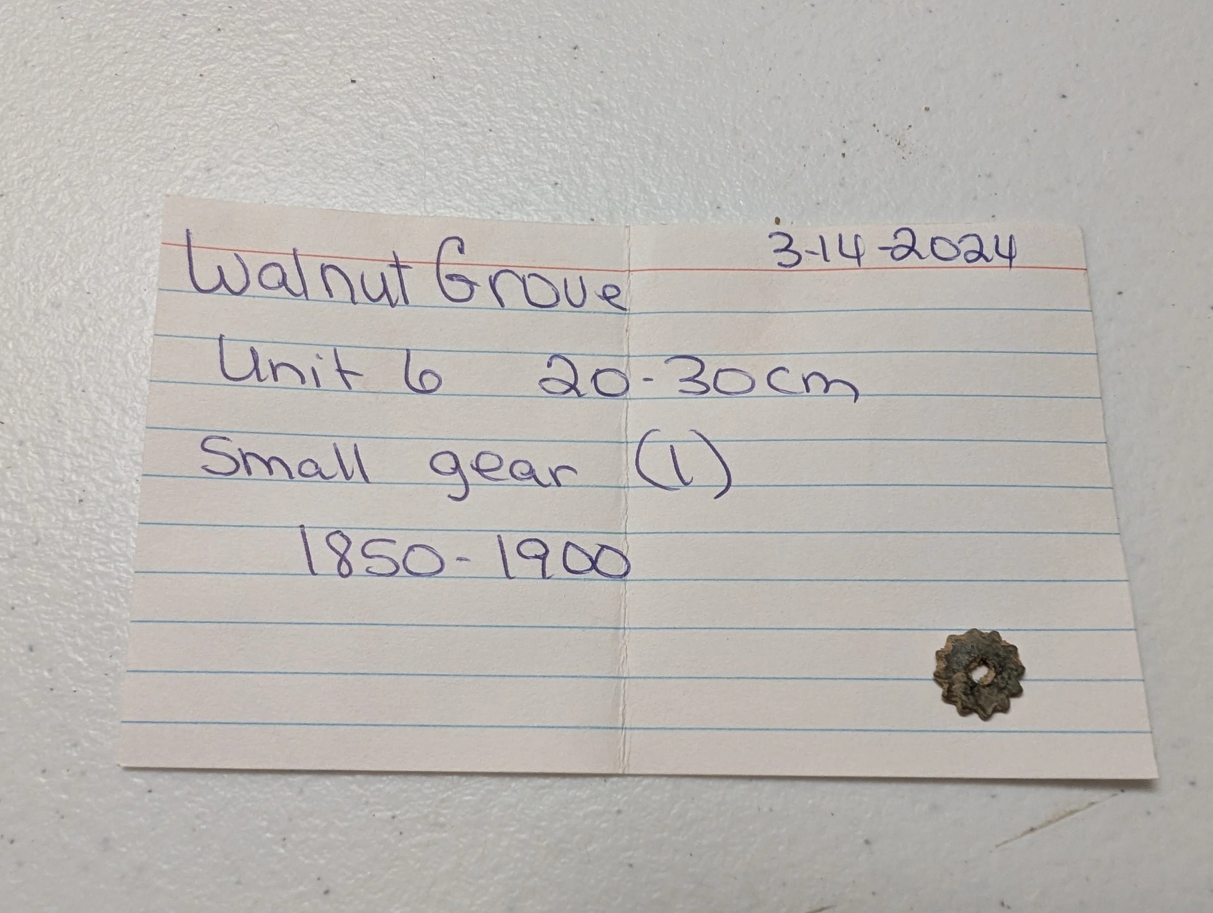 Small Gear (1).jpg