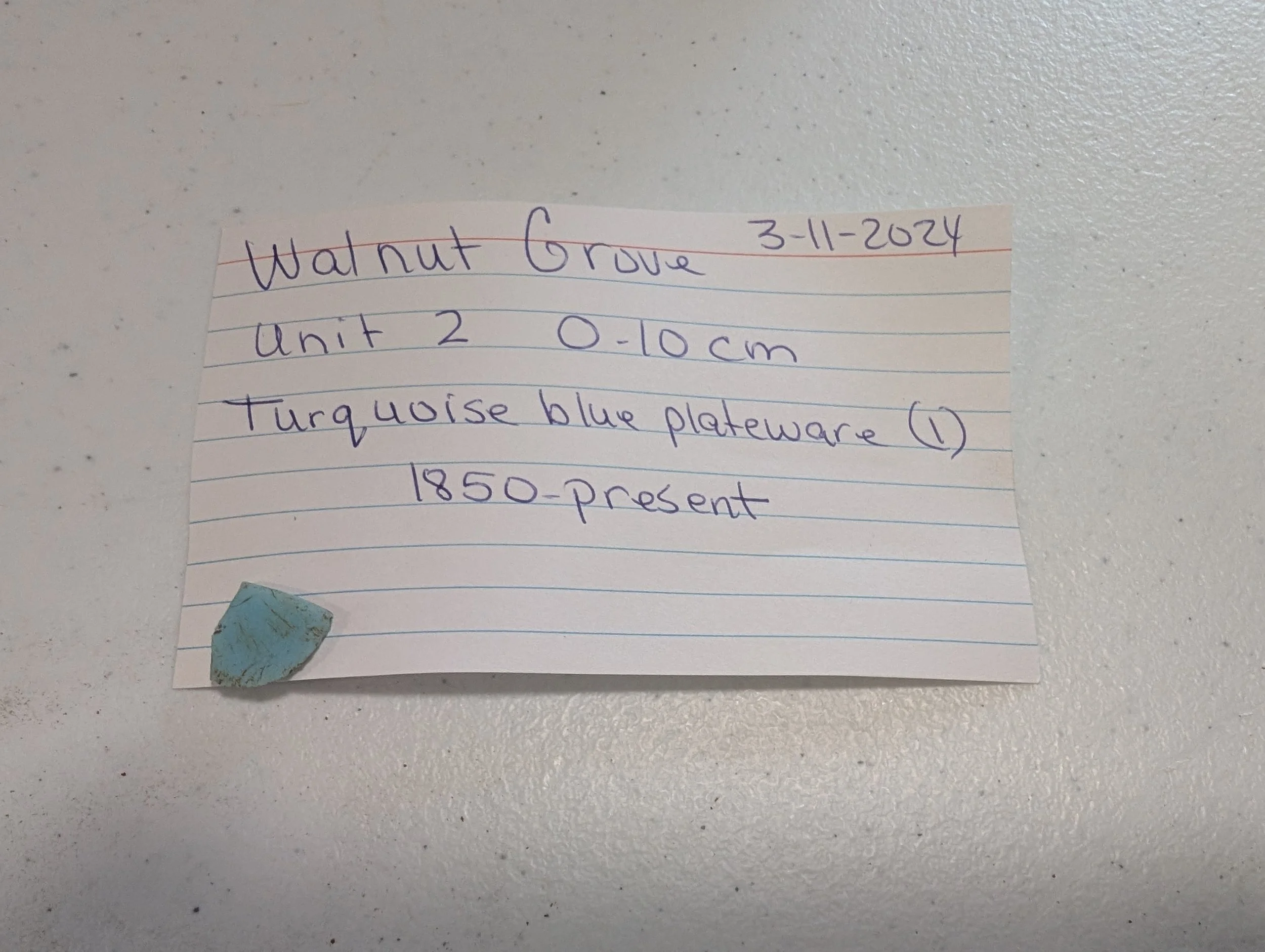 Turquoise Blue Plateware.jpg