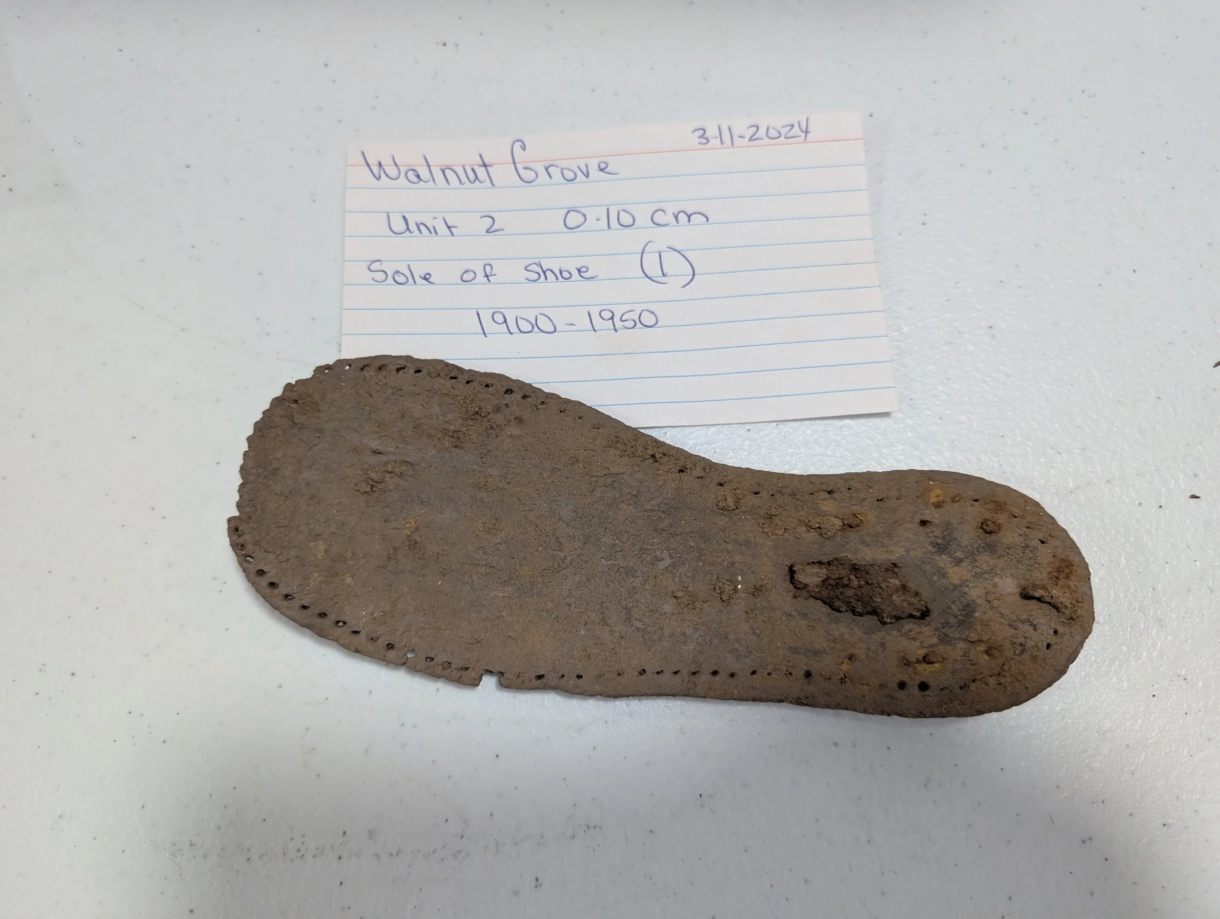 Shoe Sole.jpg