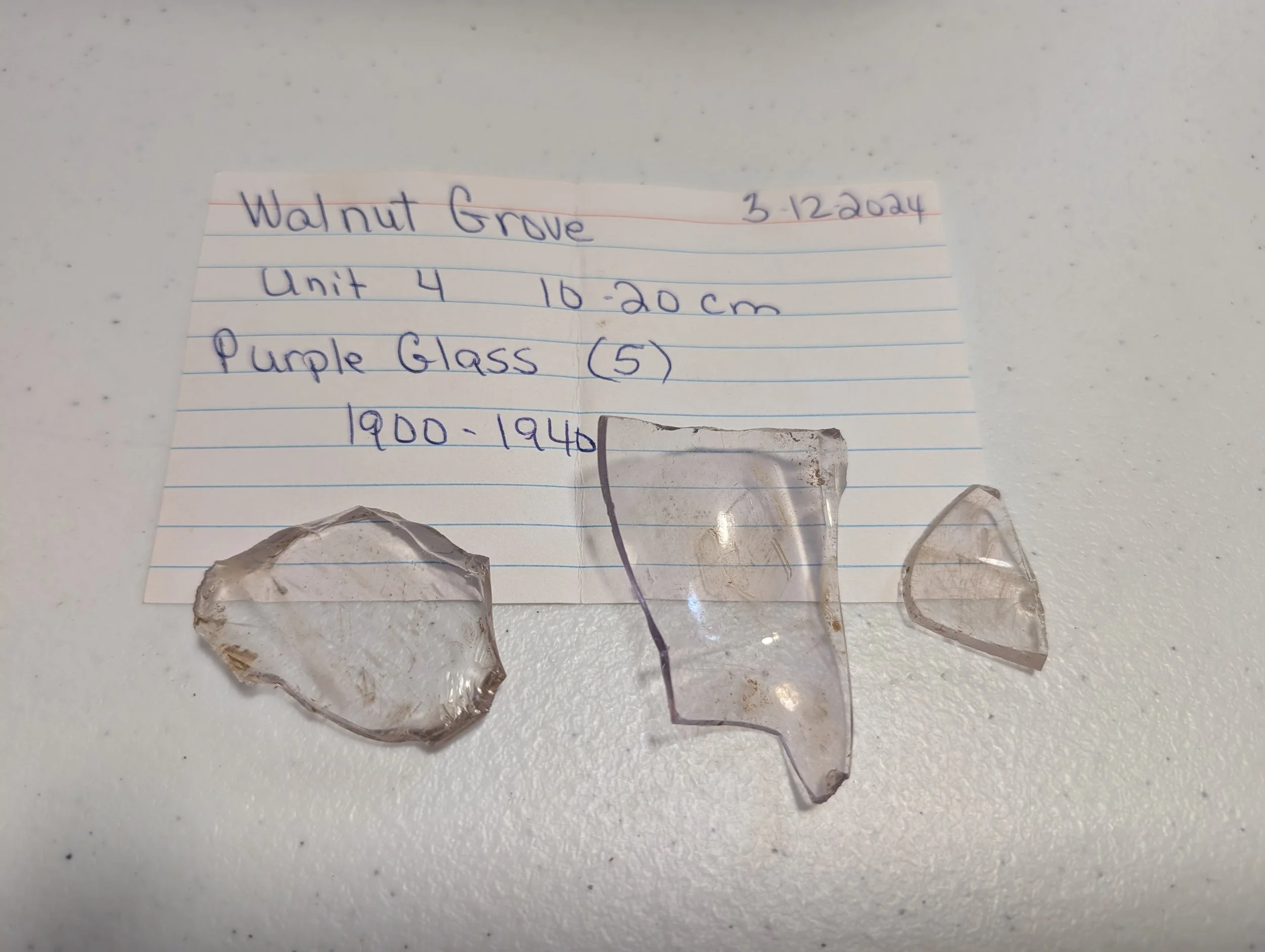 Purple Glass.jpg