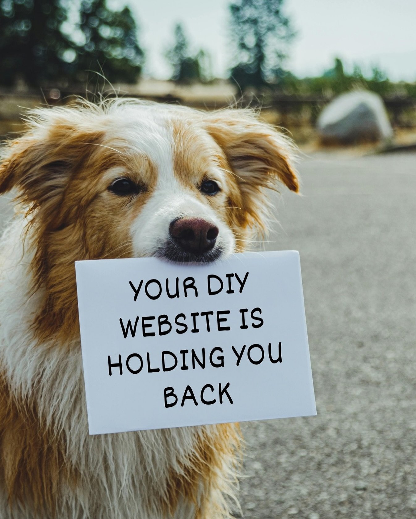 The DIY website you put together did its job in getting you up and running🙊

But as your brand became more defined and successful, I&rsquo;m betting your website hasn&rsquo;t kept pace. 

This can look like...

...website visitors who leave without 