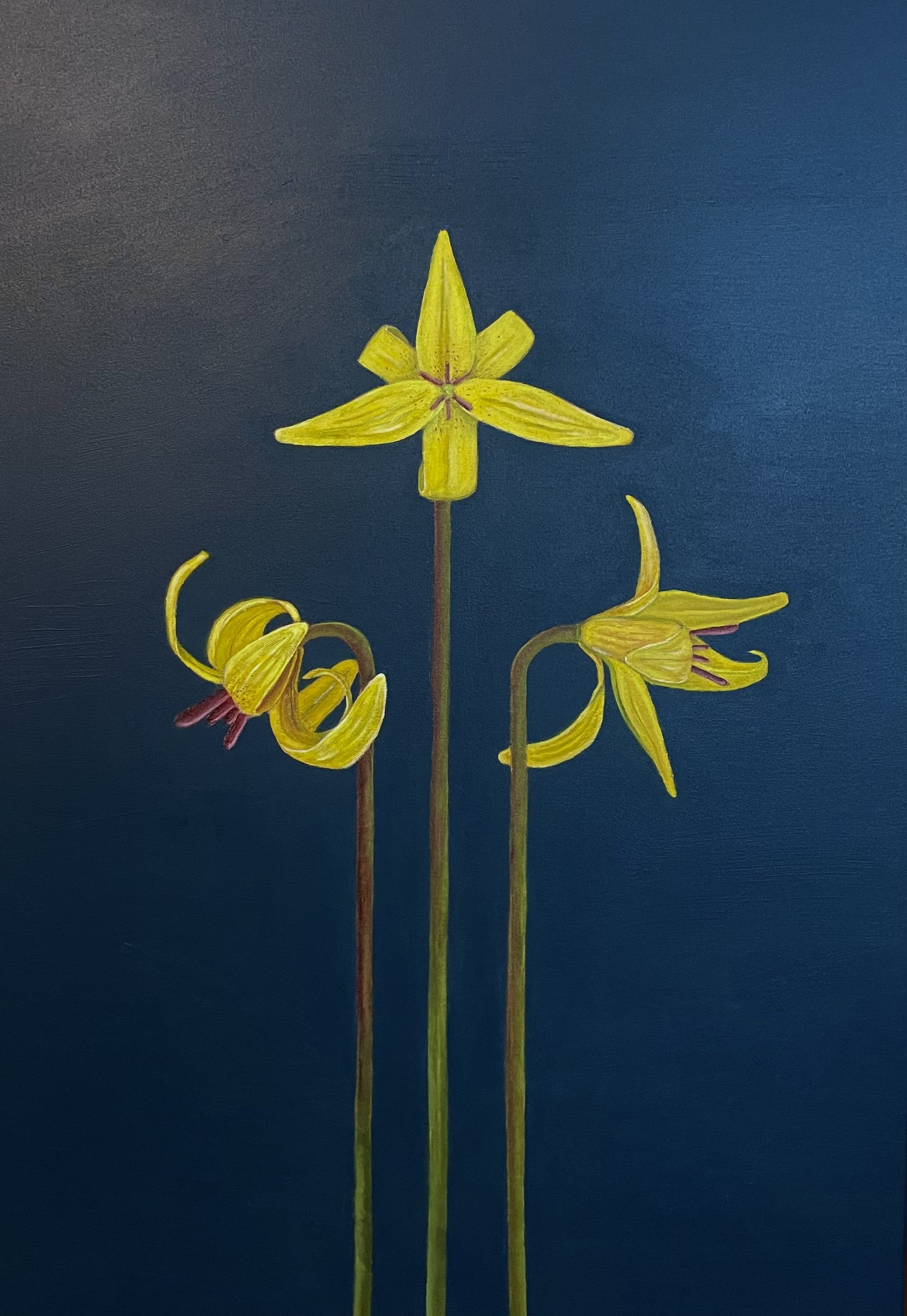 "Waltz of the Yellow Trout Lilies", 2022, 
2'x3' feet, Acrylic on Canvas 