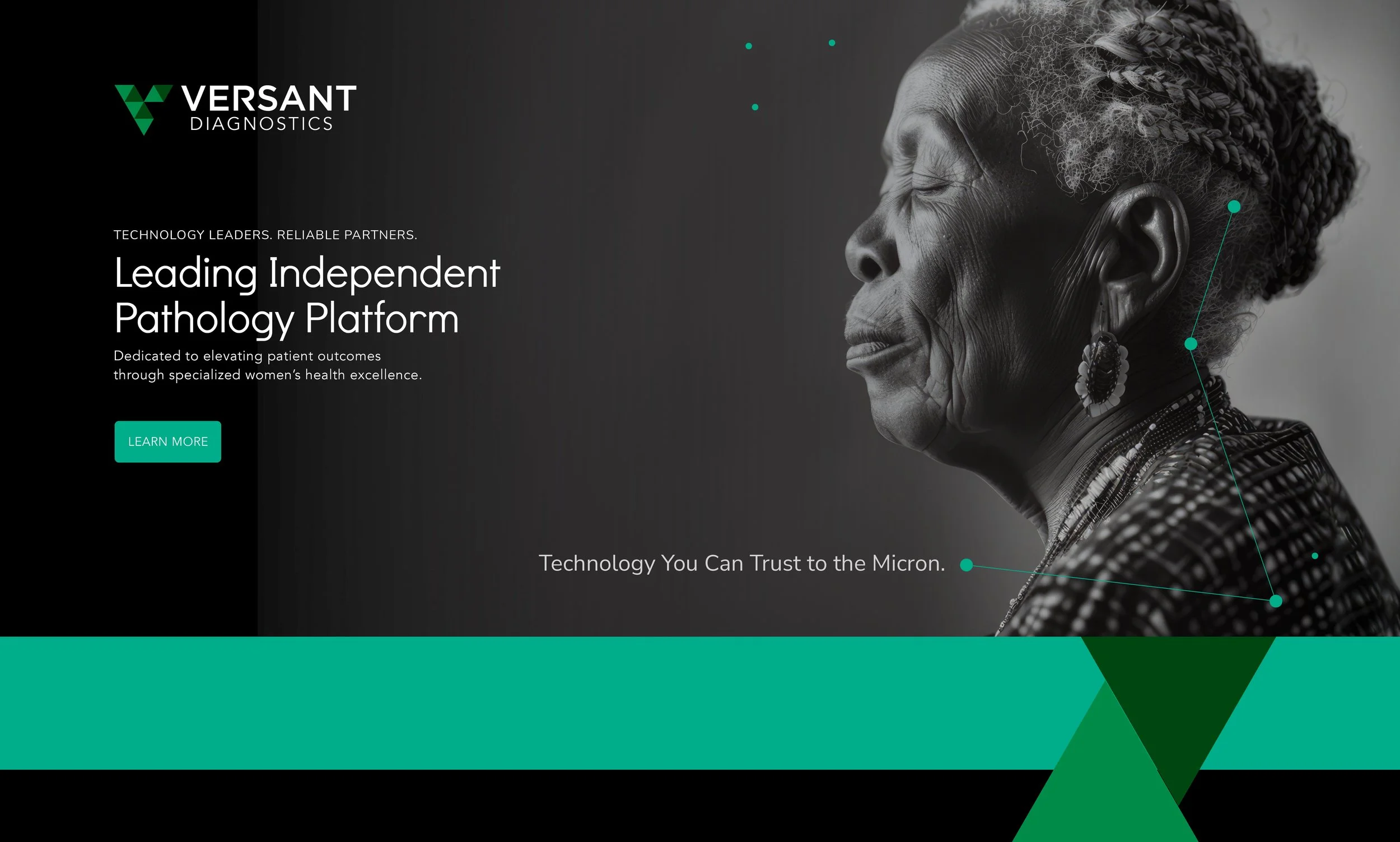 Versant Website2.jpg