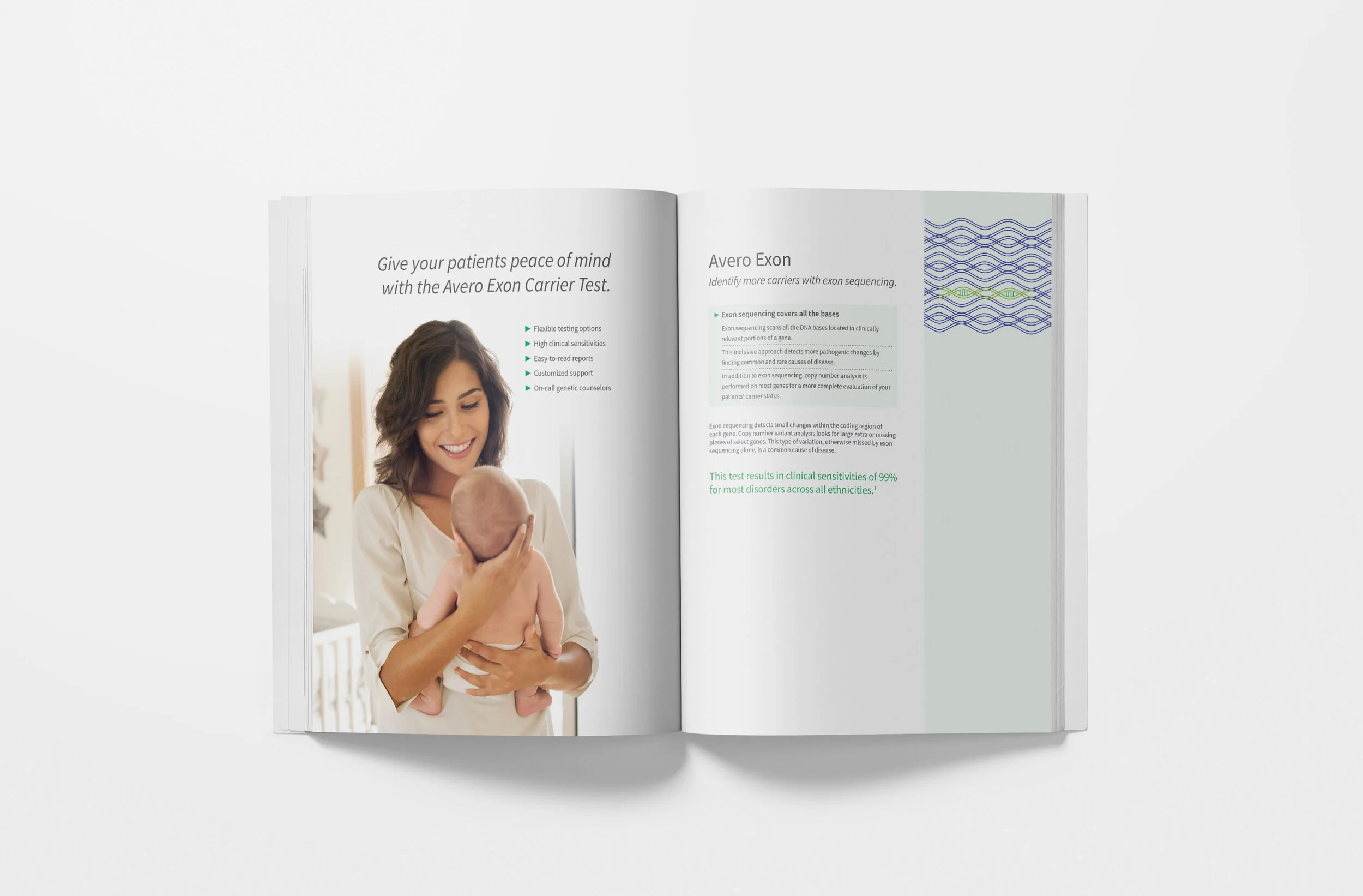 AV Carrier Exon Guide Spread.jpg