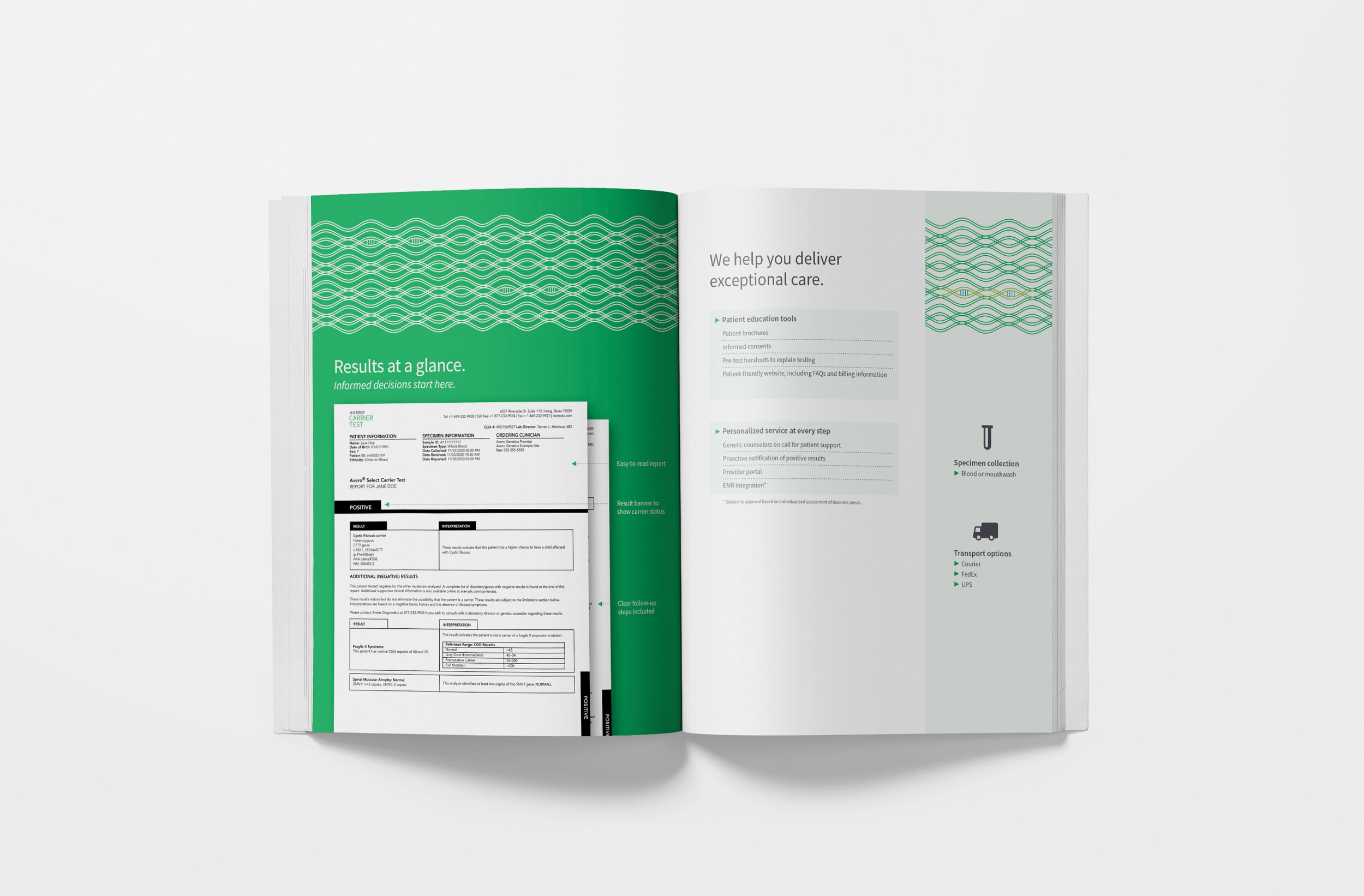 AV Carrier Guide Spread 7.jpg