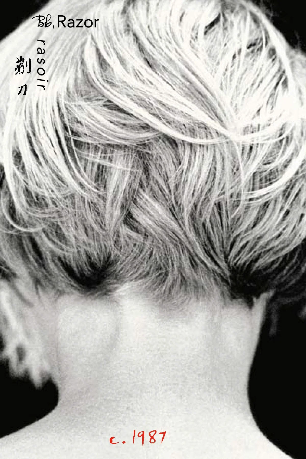 Pages from BbRazor_Postcards_5721_Final_SCREEN 5.jpg