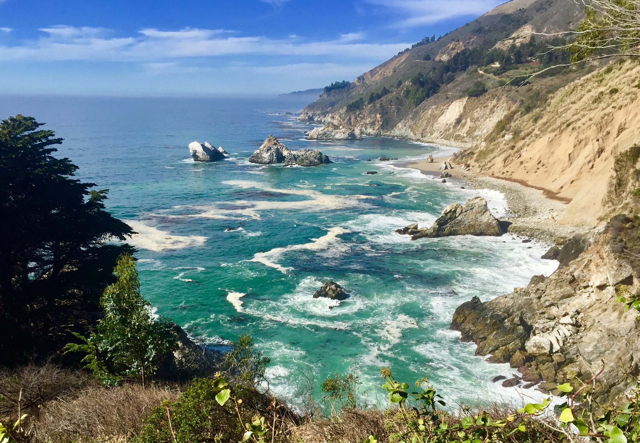 Protecting Southern Sea Otter Habitat — The Otter Project