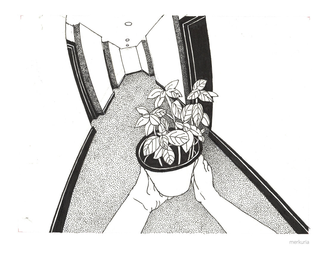 merqrya_BookConcept_NotEveryFriendship8.jpg