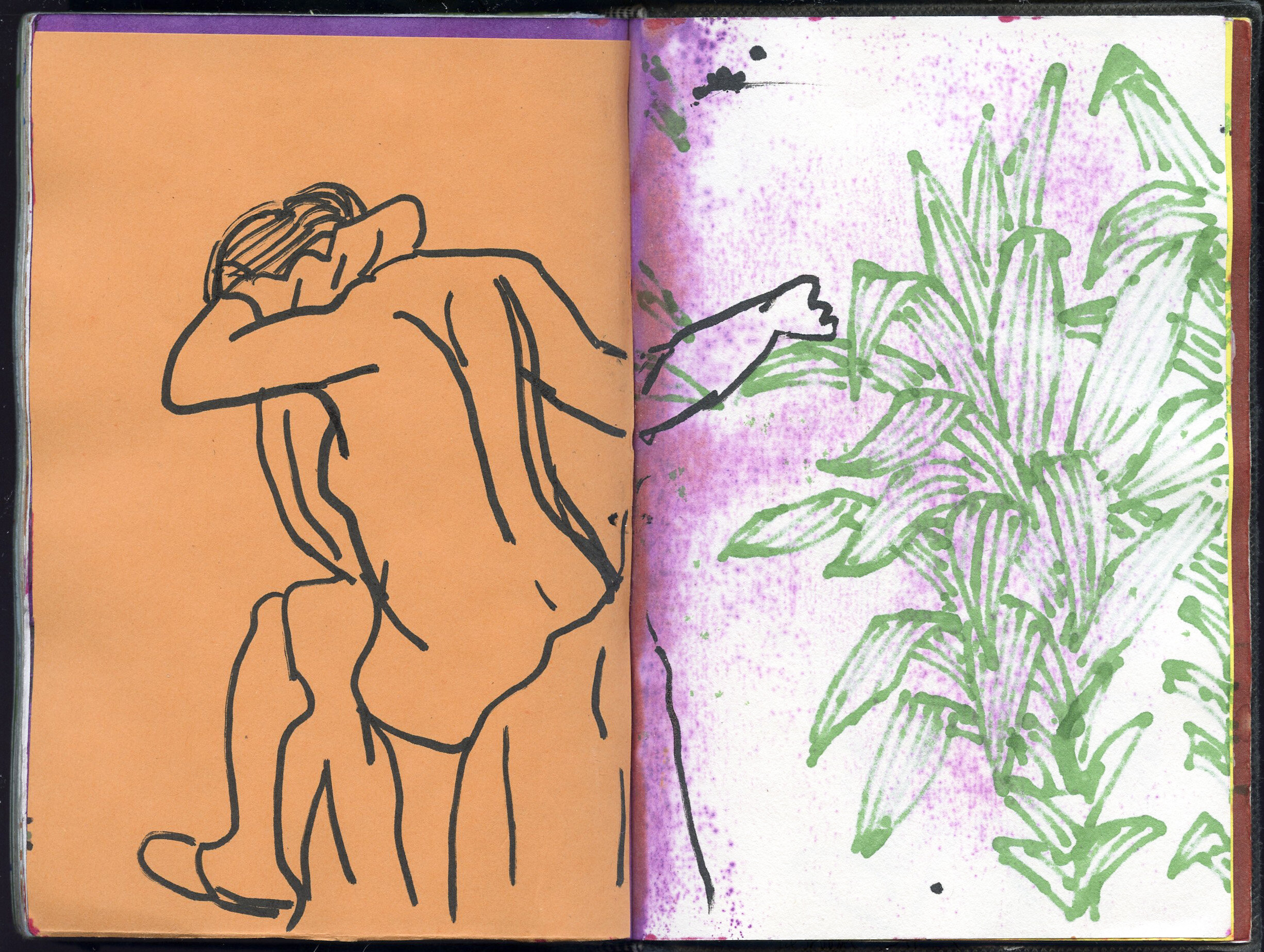 sketchbook10103.jpg
