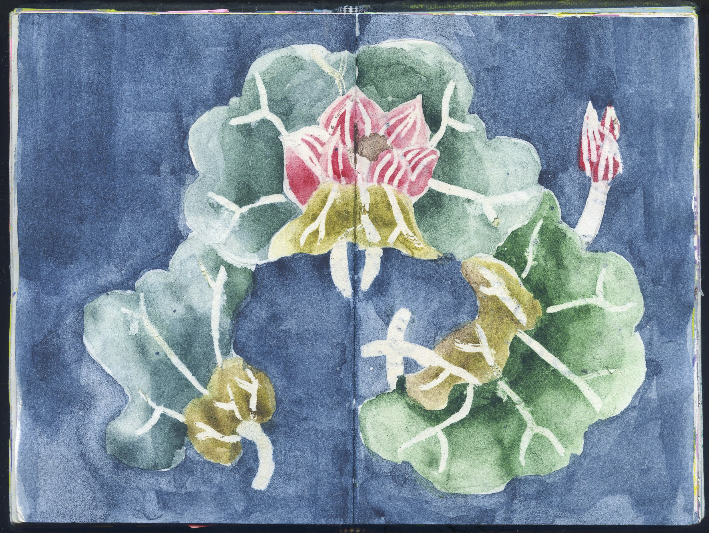 sketchbook12062.jpg