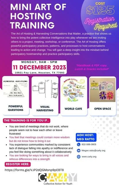 Mini Art of Hosting Training