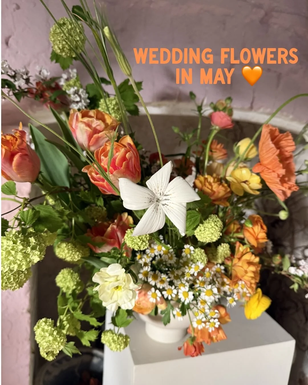 Sharing this JOYFUL zingy citrus wedding on a blustery, grey Wednesday 🧡

Our lovely couple wanted bowl arrangements on different height plinths for their ceremony and I used glorious @gaiavessels for these. 

Such a delicious selection of ingredien
