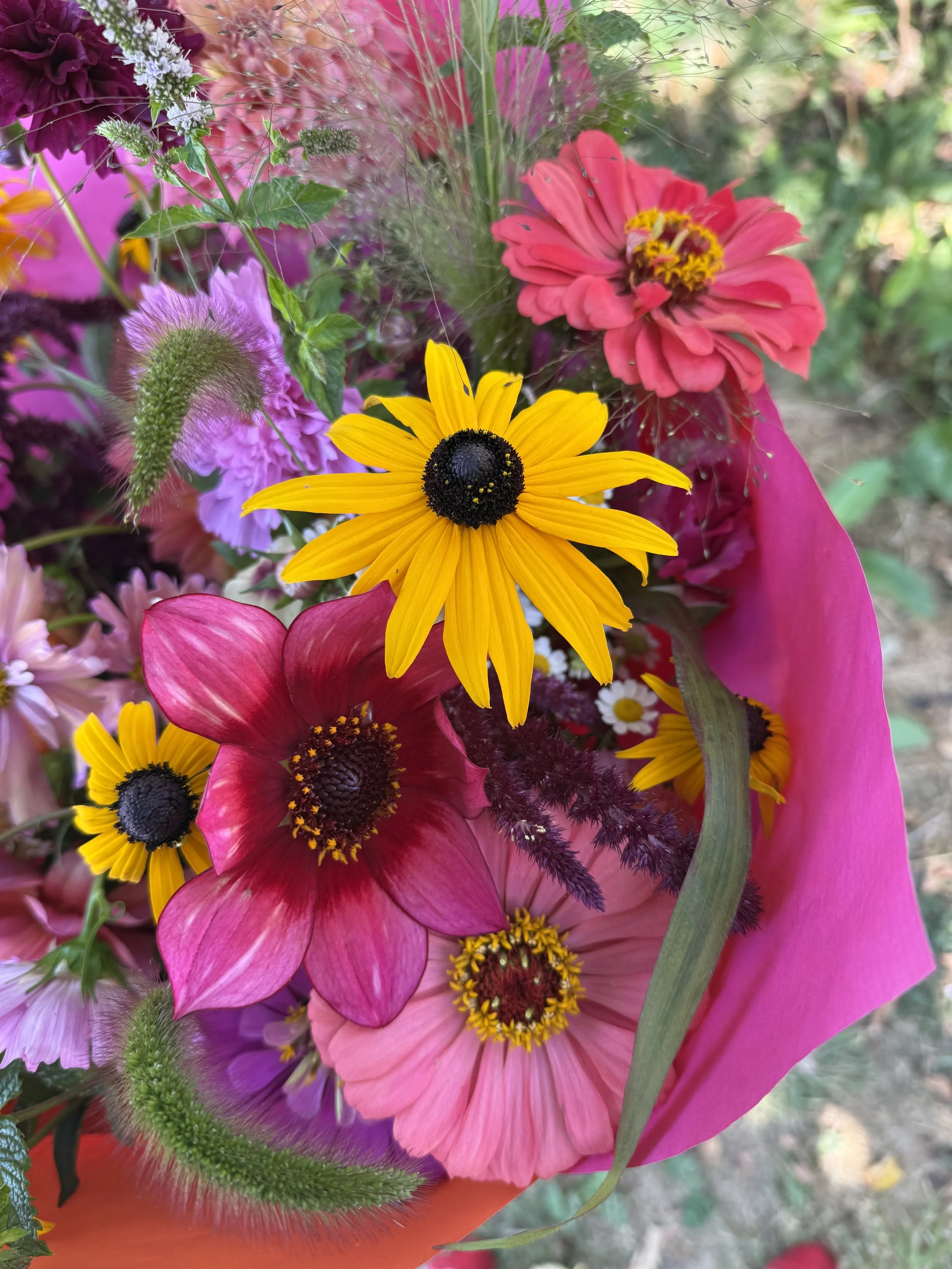 IMG_4200.jpeg