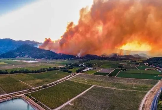 Wine Chronicles: Napa Braces for the 2025 Fire Season