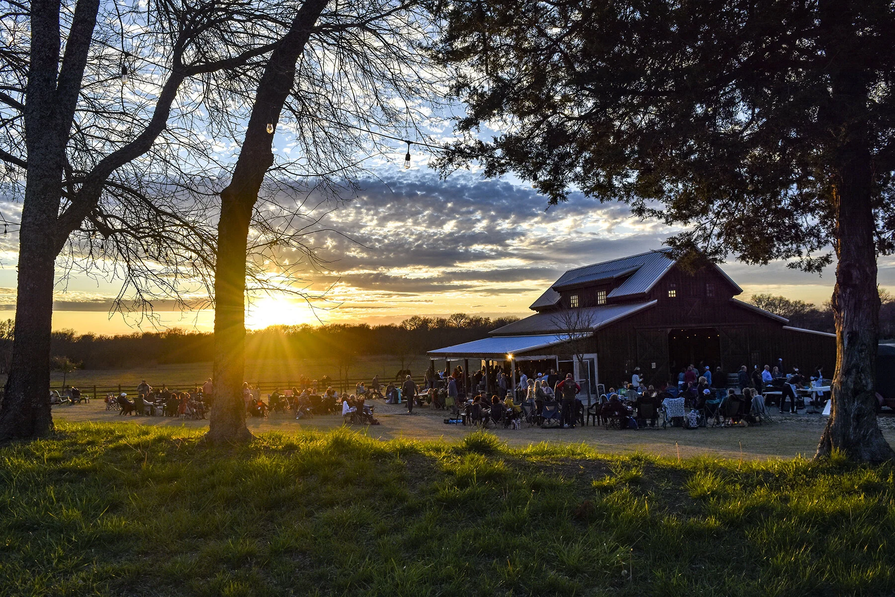 Barn Behind Trees and Sun 2.jpg