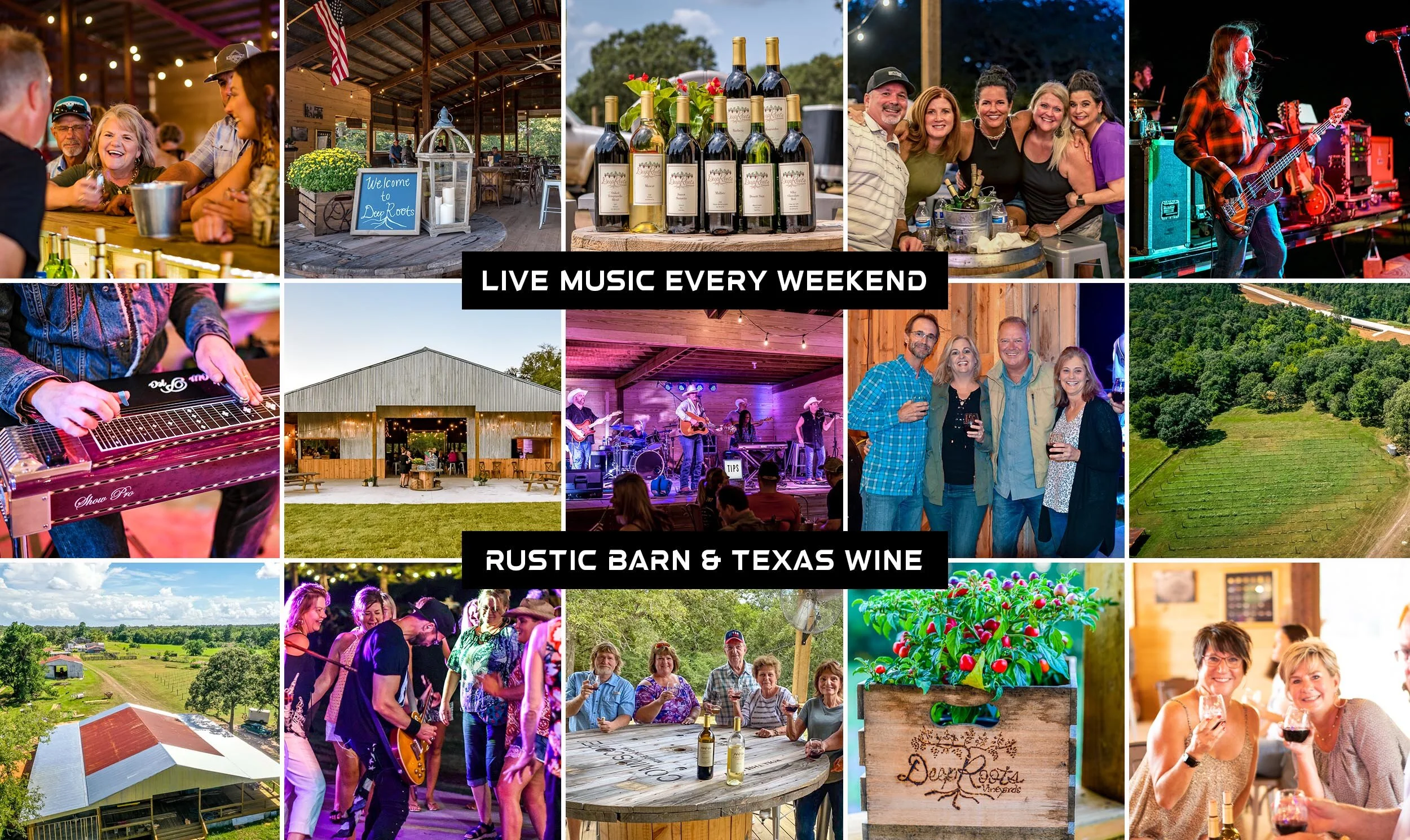 DeepRoots Vineyards