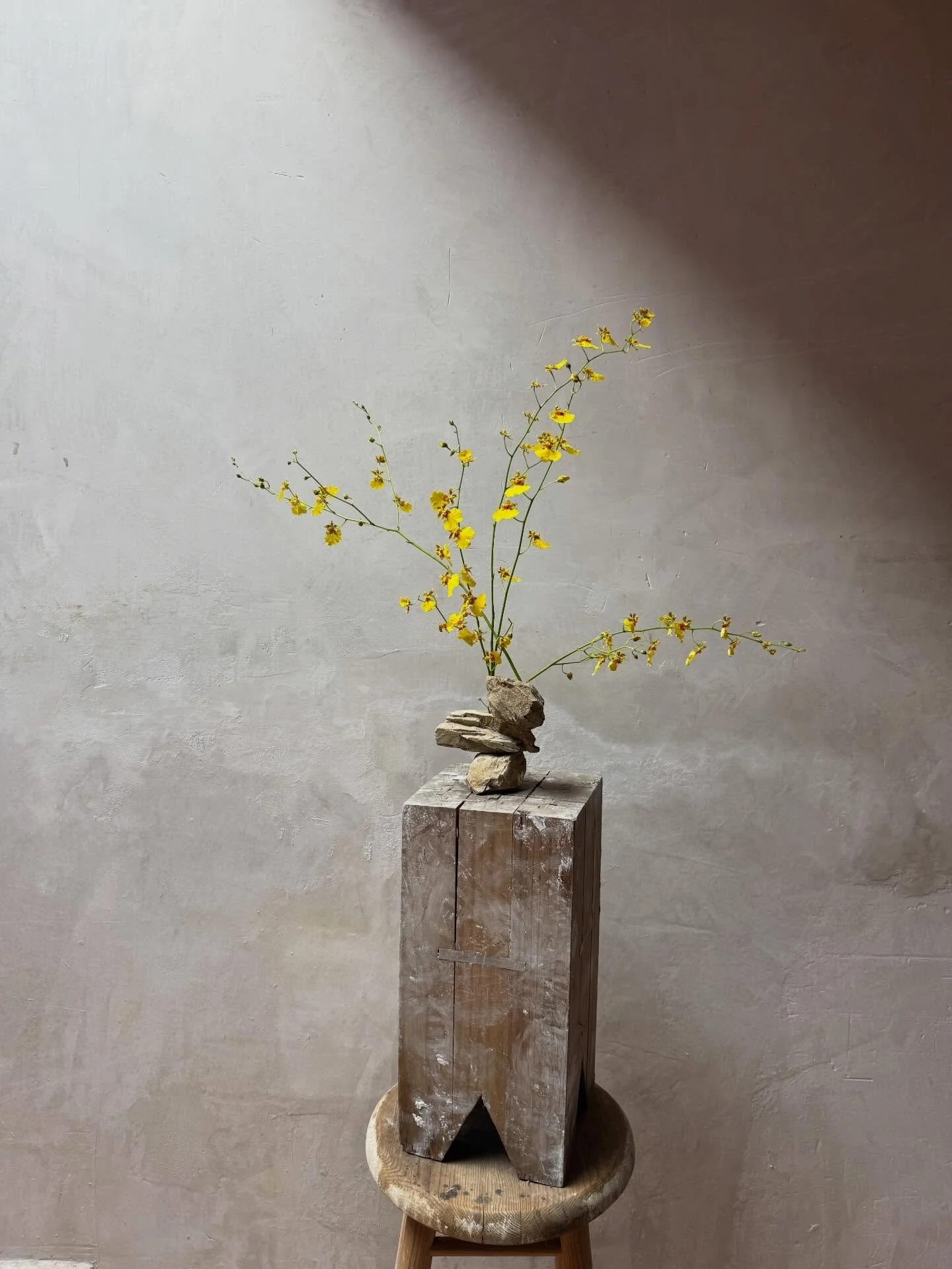 Trabajar con la direcci&oacute;n de la esperanza, ver donde no se mira y encontrar que ah&iacute;, existe mucha magia.
Este a&ntilde;o me toca la estrella y deseo que todxs puedan encontrar esa luz en el cielo que quieran seguir, aquella que les d&ea