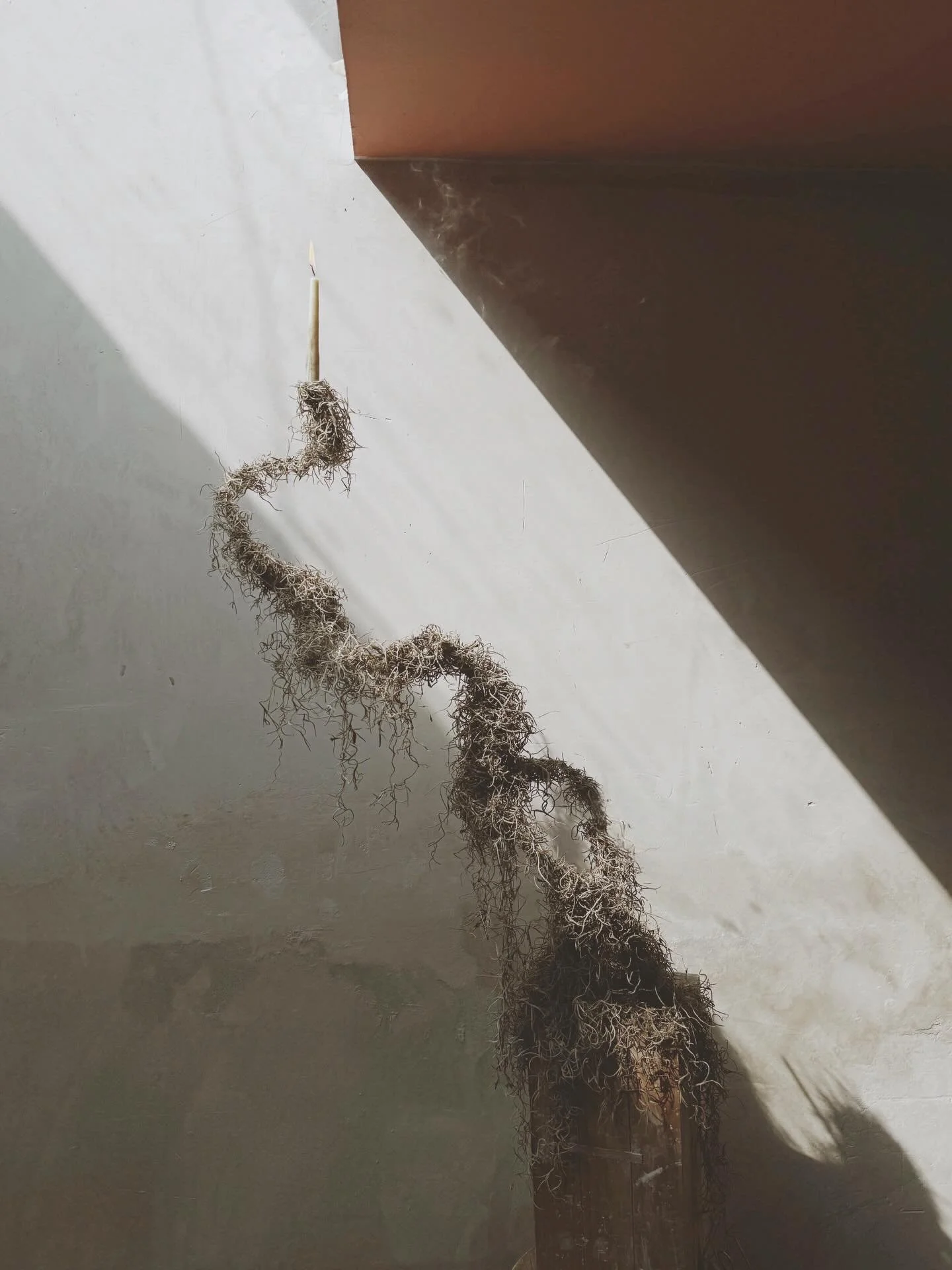 Una estela de invierno,
flor de solsticio, capullo de tierra, 
florece en la oscuridad.

#solstice