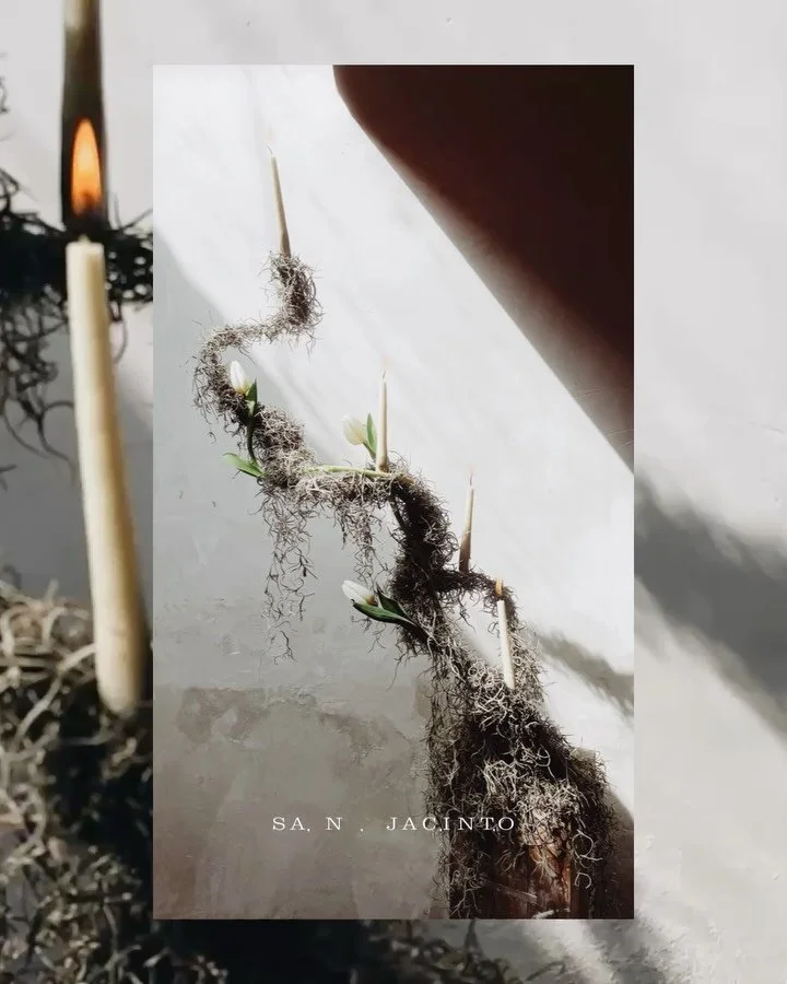 Abraza con toda tu luz

Gracias por todo, gracias por tanto. Gracias a por permitirme compartir belleza contigo, encontrar en la naturaleza las cosas que nos conmueven y maravillan.

#felicesfiestas🎄