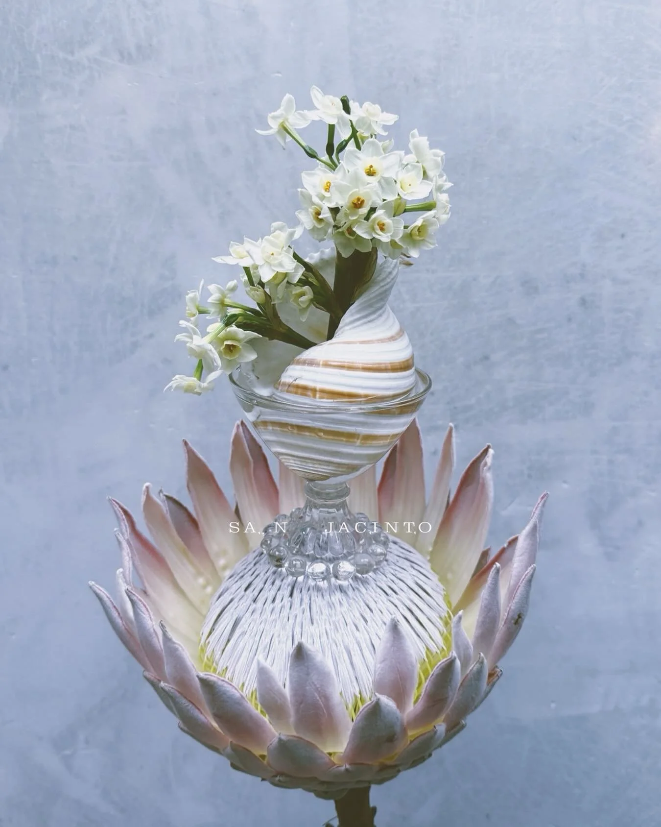 -intermedio- un suspiro y ya, un sue&ntilde;o, un mito. @diony_velasco me incluy&oacute; estos narcisos en un pedido ✨ pura magia.

#narciso #dafodils