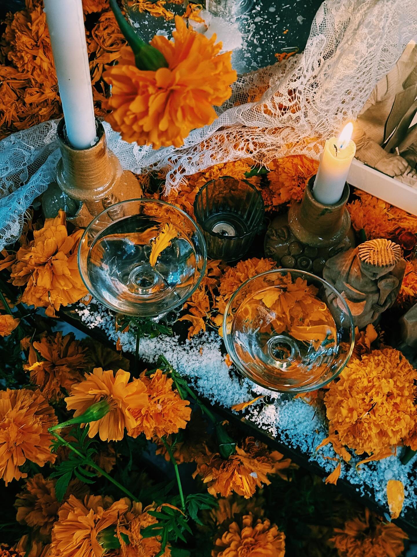 Avanzan los d&iacute;as de noviembre y no puedo evitar sentir nostalgia. Suspiro con un gran sentimiento de gratitud, porque como espiga de diente de le&oacute;n, me fui a regar flores por todos lados. De Oaxaca a Punta de Mita, Ciudad de M&eacute;xi