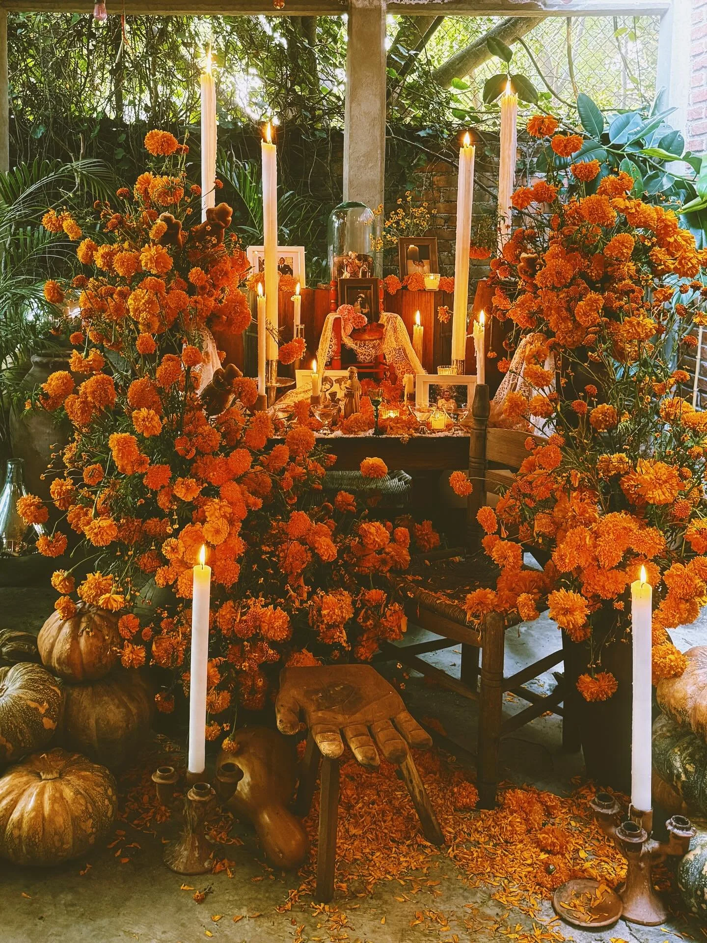 Te llamo con flores, con humos y velas, contempla con mis ojos, siente con mi piel. Agradecemos siempre por el camino que nos ense&ntilde;aste, el de las flores y los jardines.
#ofrenda #cempas&uacute;chil #diademuertos