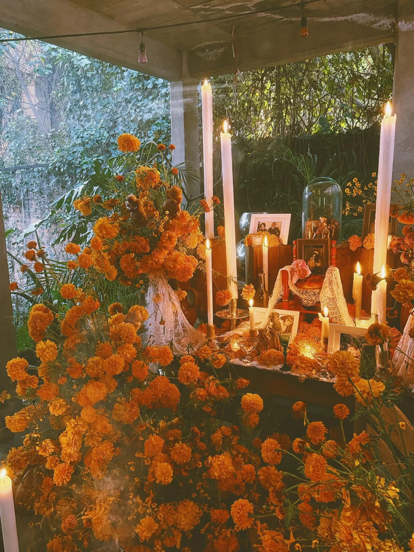 Amanece sobre la ofrenda de la casa, una que se acurruca entre los guayabos que plant&oacute; el abuelo Felipe. Queda un aroma entre las hebras de sol y humo. Es un recuerdo entre cera escurrida y p&eacute;talos quemados.
#ofrenda #cempas&uacute;chil