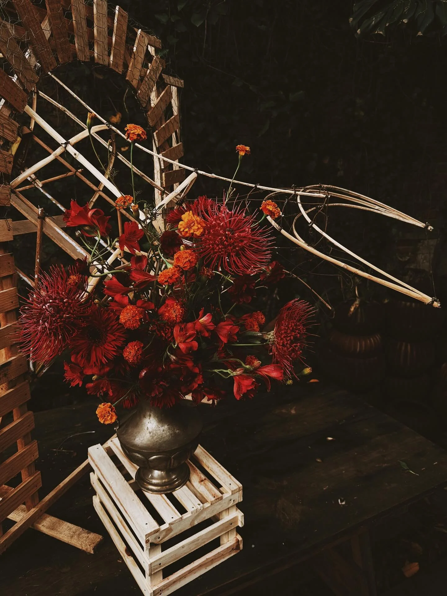 El torito de Manuel

Hay algo especial en los huesos de carrizo y madera, un remanente perdurable de un instante, de una belleza fugaz que se consume en flores, se consume en llamas.

Gracias @manuelzuniga por el torito