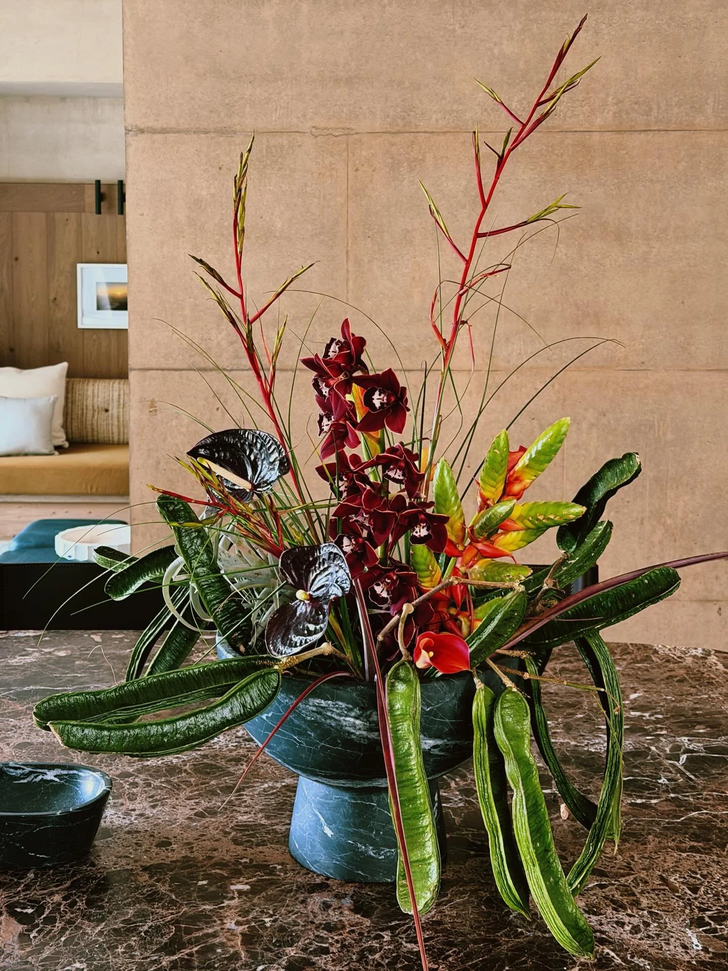 De camino al sitio, los bancos de niebla acarician suavemente las monta&ntilde;as, como diciendo "buenos d&iacute;as, nos vemos al rato".
Me gusta imaginar que ah&iacute; crecen toda clase de ep&iacute;fitas, abrazando a los &aacute;rboles 