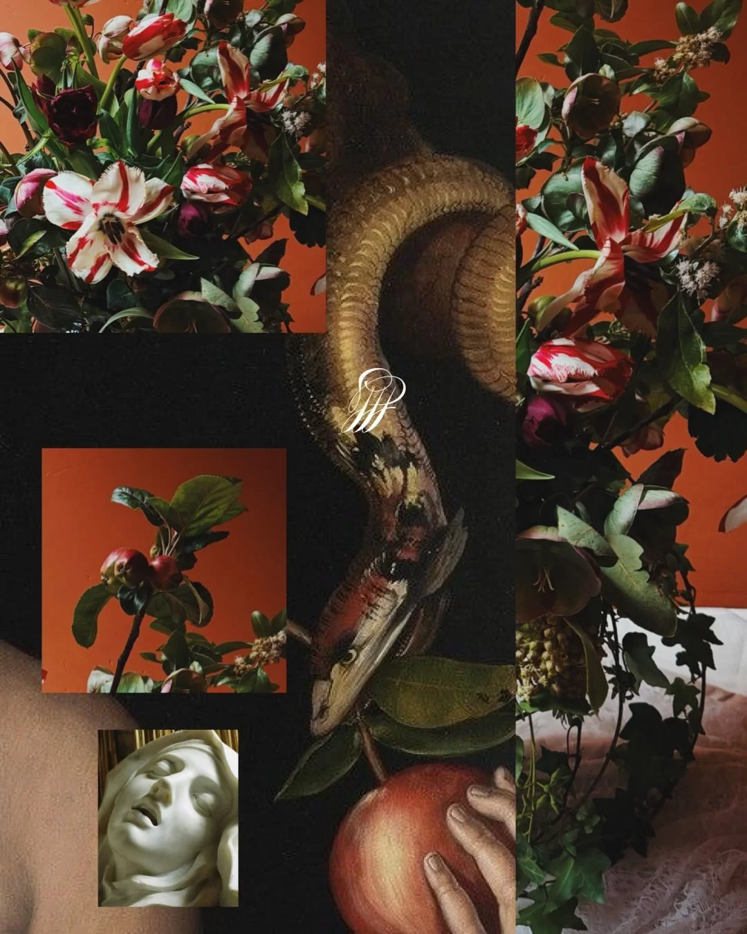 Puedo decir que me gano la vida gracias al amor, gracias a que las personas se dicen s&iacute;. Vivo de suspiros y ofrendas, tentaciones, hechizos y deseos; los traduzco en sustancia floral.
#valentines #sanvalent&iacute;n #flores