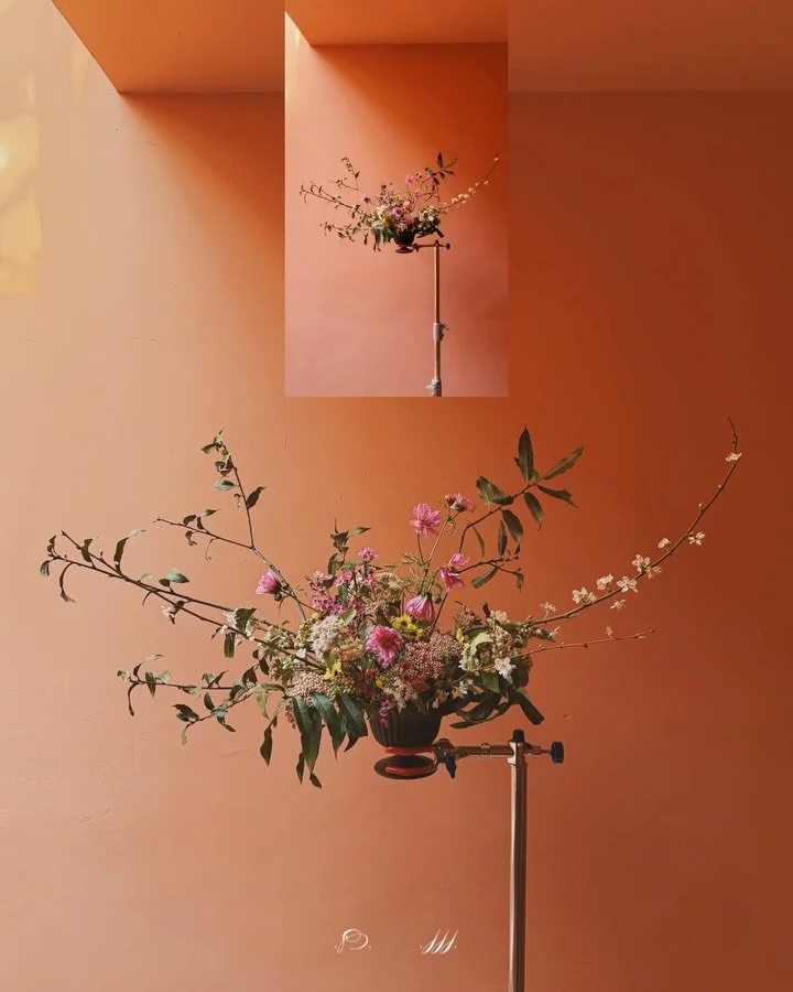 Escucha ,  observa
 ,  comparte lo que es revelado ,
en el sentir