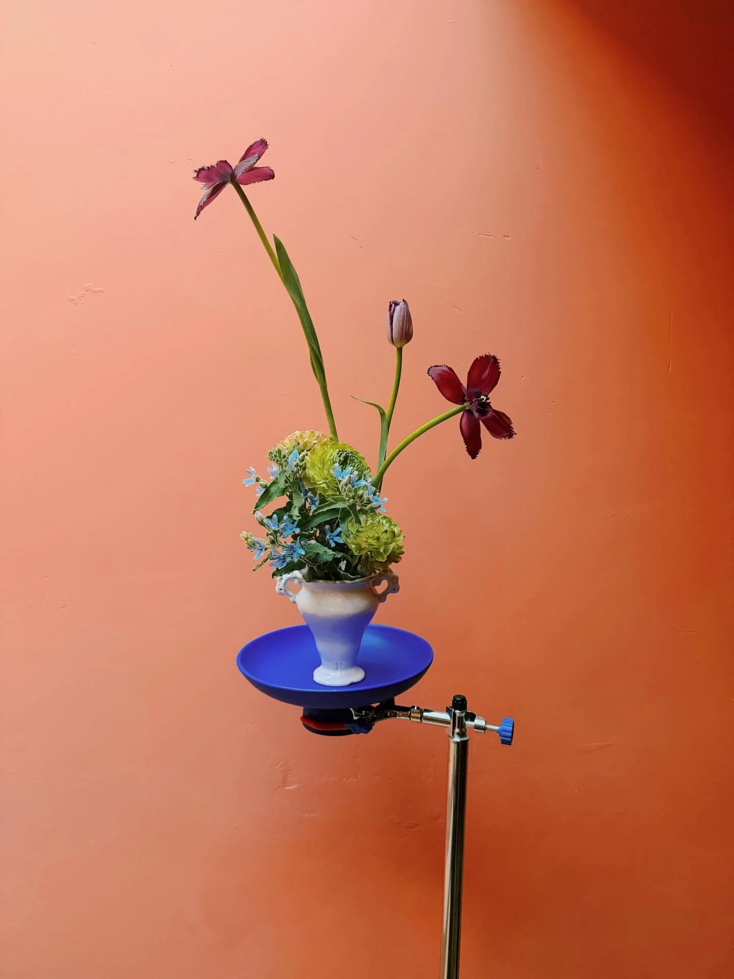 Oh , dulce juego de escalas.