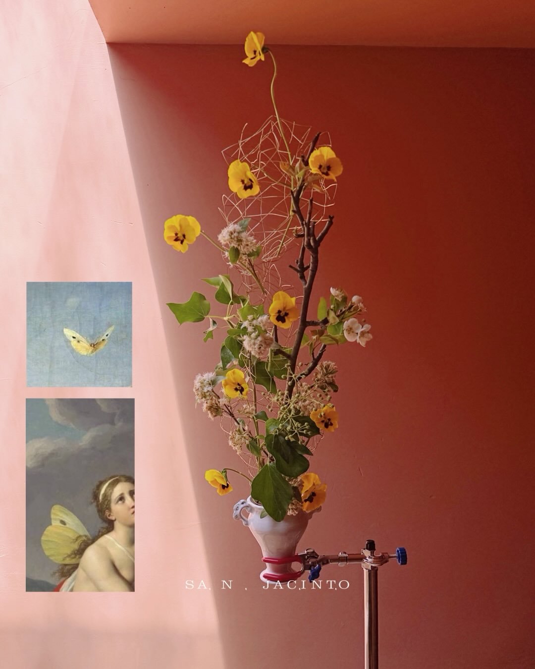 &ldquo;Acerc&oacute; la l&aacute;mpara para ver el rostro del esposo desconocido,
y contempl&oacute; al m&aacute;s hermoso de todos los dioses:
el mismo Amor, cuyas alas reposaban brillantes.&rdquo;

#pansies #pensamientos #flores