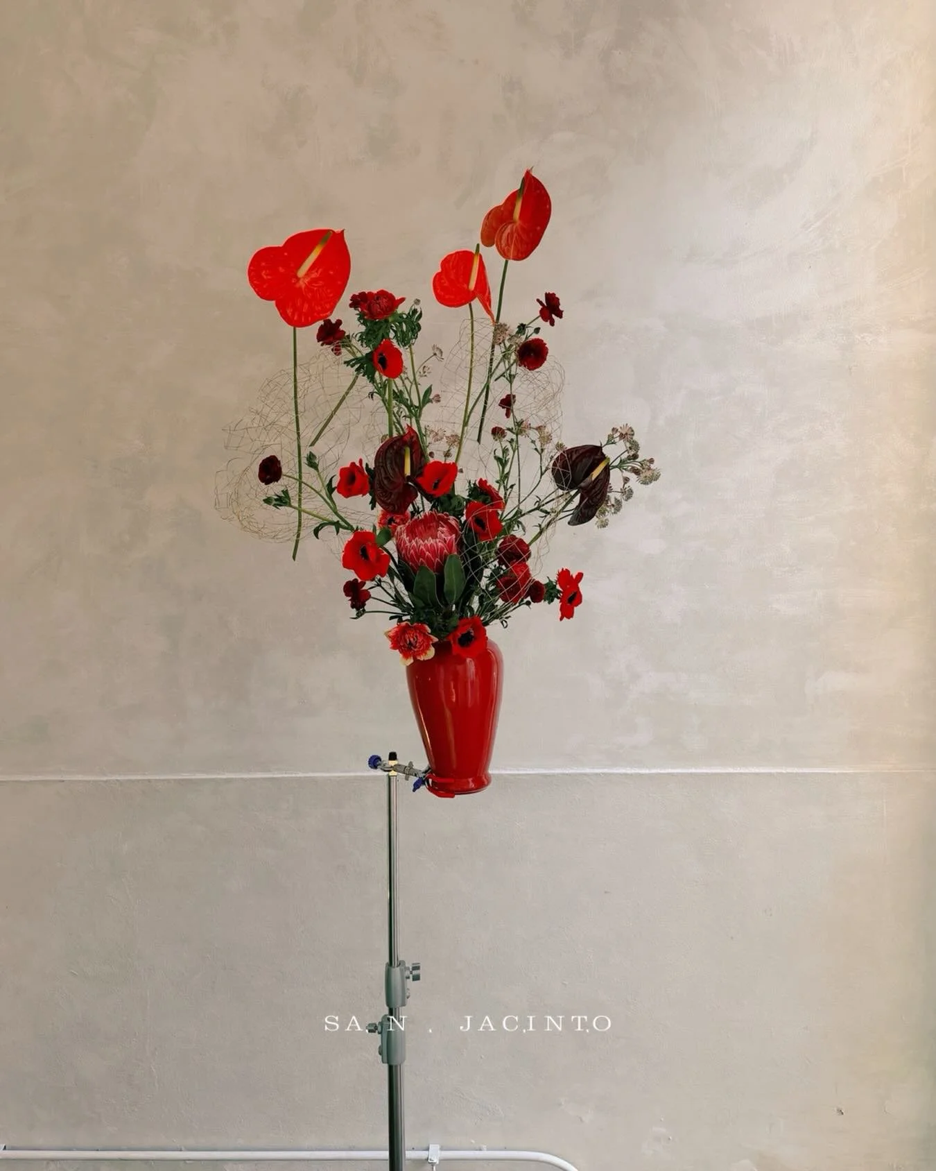 Flores que parecen personas y personas que parecen flores.

Gracias @jhansrico por la inspiraci&oacute;n para esta pieza.
Se trata de energ&iacute;a, pura energ&iacute;a.