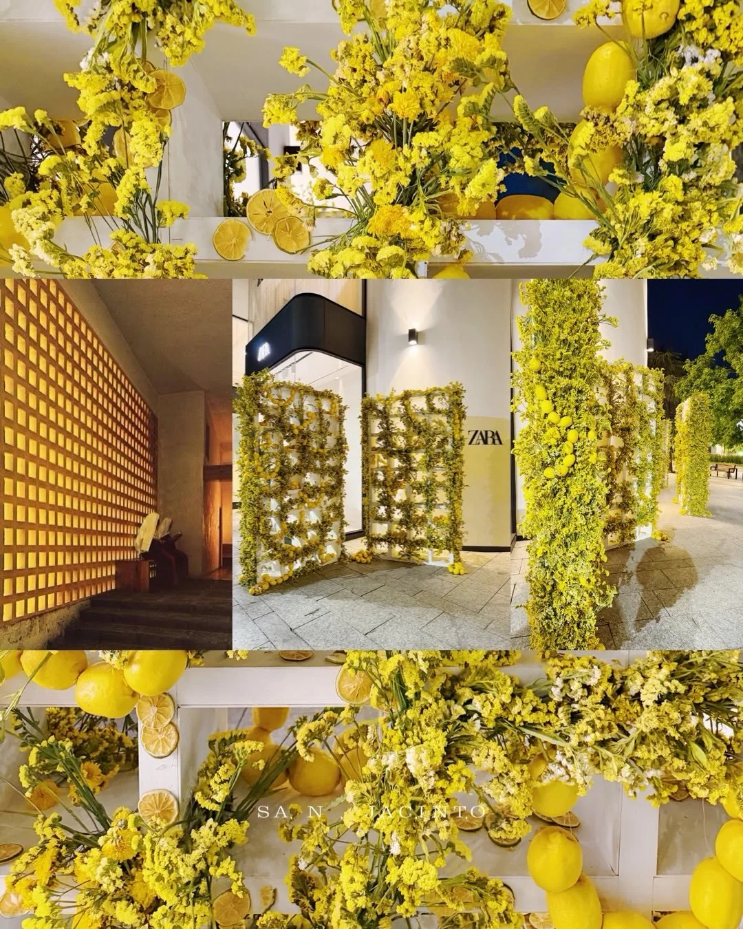Cuando me invitaron a hacer la fachada de @zara en #polanco me preguntaba c&oacute;mo interpretar mejor el tema propuesto por @fyjamx "el jard&iacute;n mexicano". Record&eacute; entonces, no un jard&iacute;n precisamente, pero s&iacute; un 