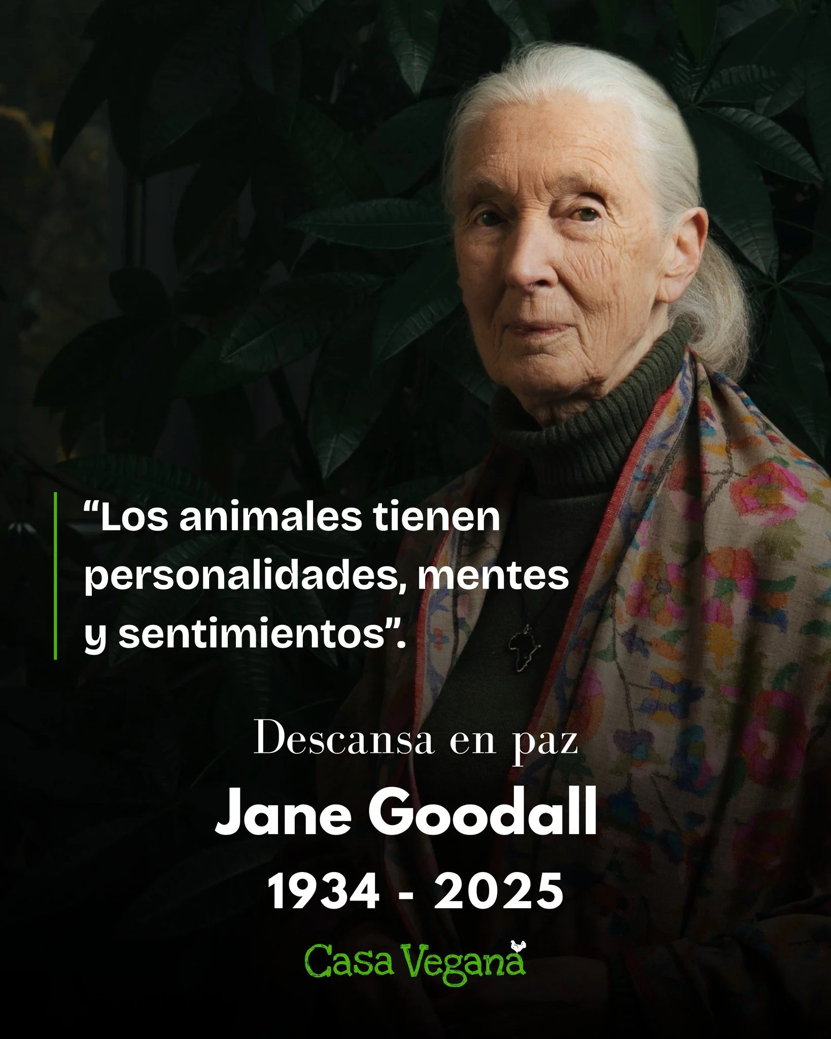 🕊️ RIP Jane Goodall
Hoy despedimos a una aliada incansable que nos ense&ntilde;&oacute; a ver a los animales como individuos llenos de vida, dignidad y derechos. 🙏 Su mirada compasiva y su voz en defensa del reino animal inspiraron a miles a cuesti