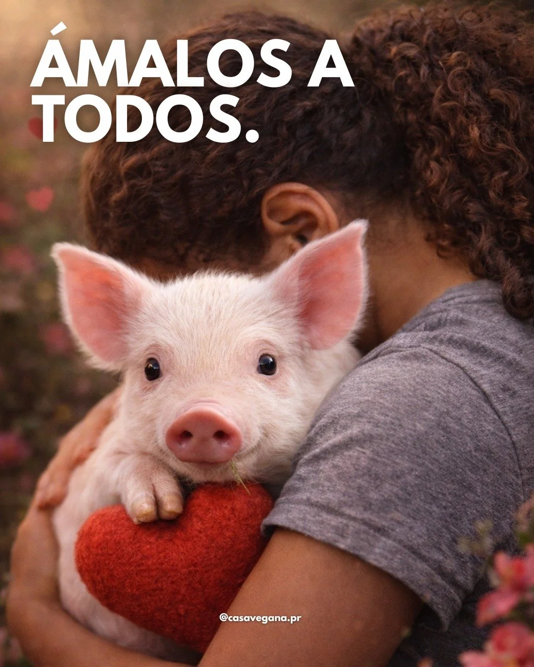 Amar es un acto hermoso.
&iquest;Nuestro amor incluye a todos los animales? ❤️🐷

 

#casaveganapr #vegana #govegan #vegano #puertorico #liberacionanimal #sanvalentin