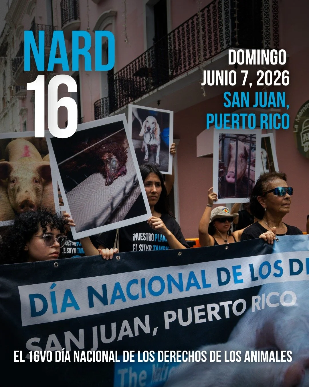 📅 Guarda la fecha.
El 16&ordm; D&iacute;a Nacional de los Derechos de los Animales llega a San Juan.
Un d&iacute;a para conmemorar, educar y alzar la voz por quienes no pueden hacerlo.

🖤 Domingo, 7 de junio de 2026
📍 San Juan, Puerto Rico
Pronto 