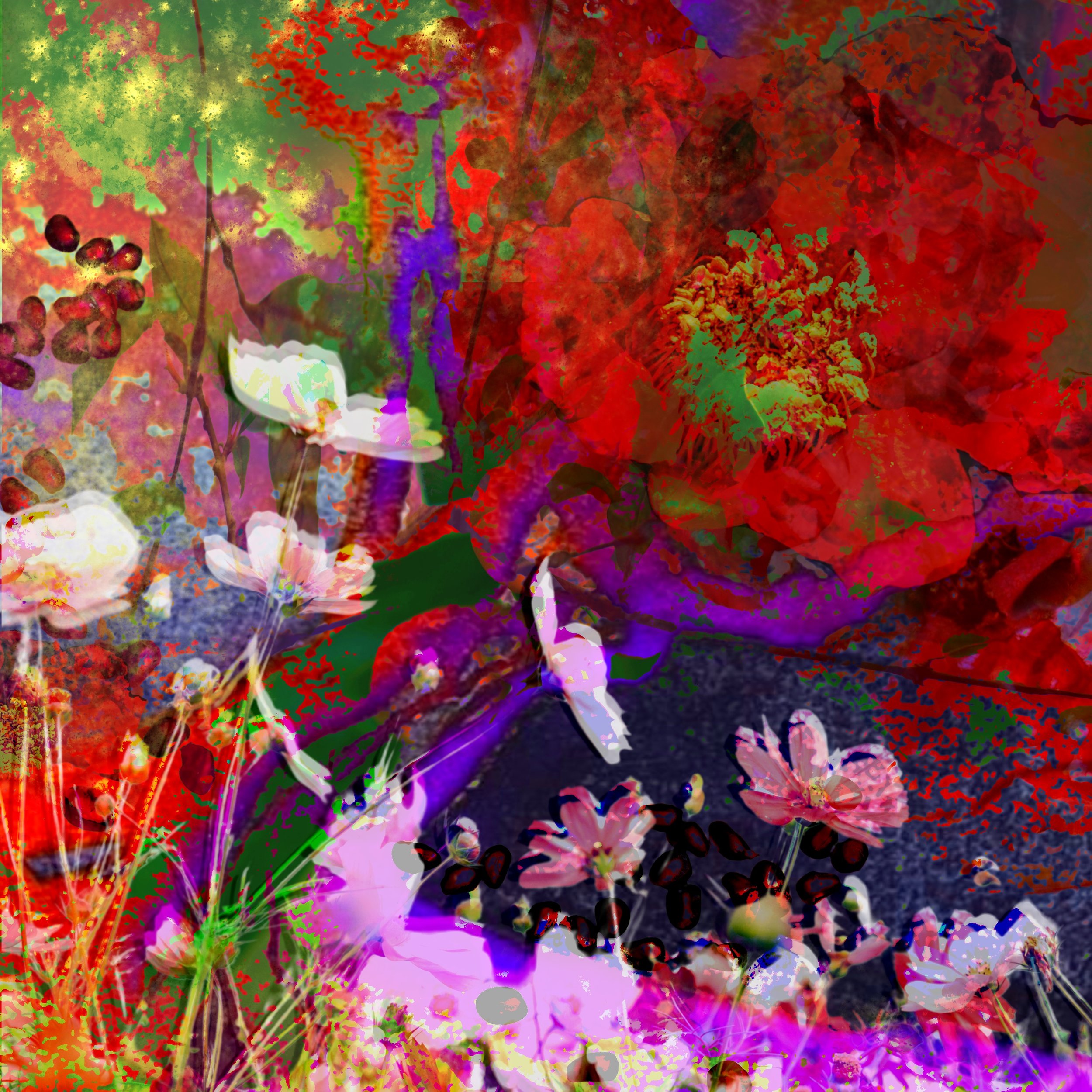 Footfall of the Flower Spring.jpeg