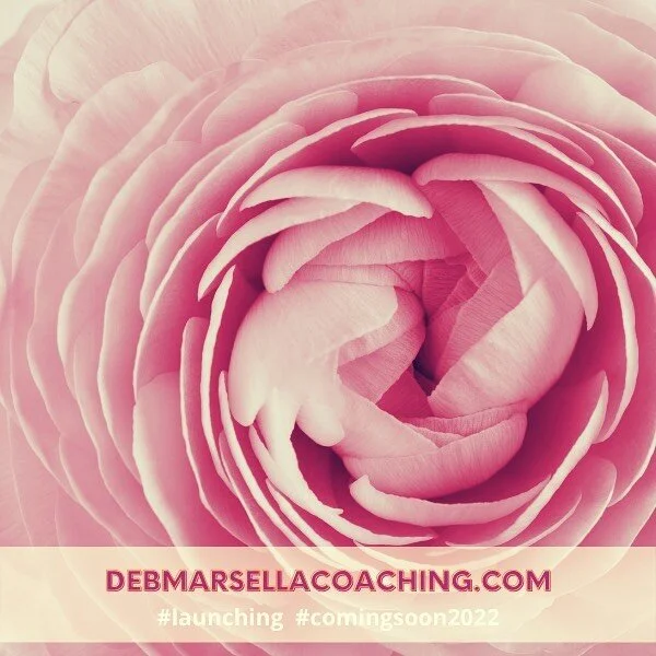 💃 BLOOM where you&rsquo;re planted&hellip;

I love this saying ~ I also believe it&rsquo;s so important to PLANT seeds where you want to BLOOM.

As a Professional Coach, for years I&rsquo;ve helped my clients first envision and then plant such seeds